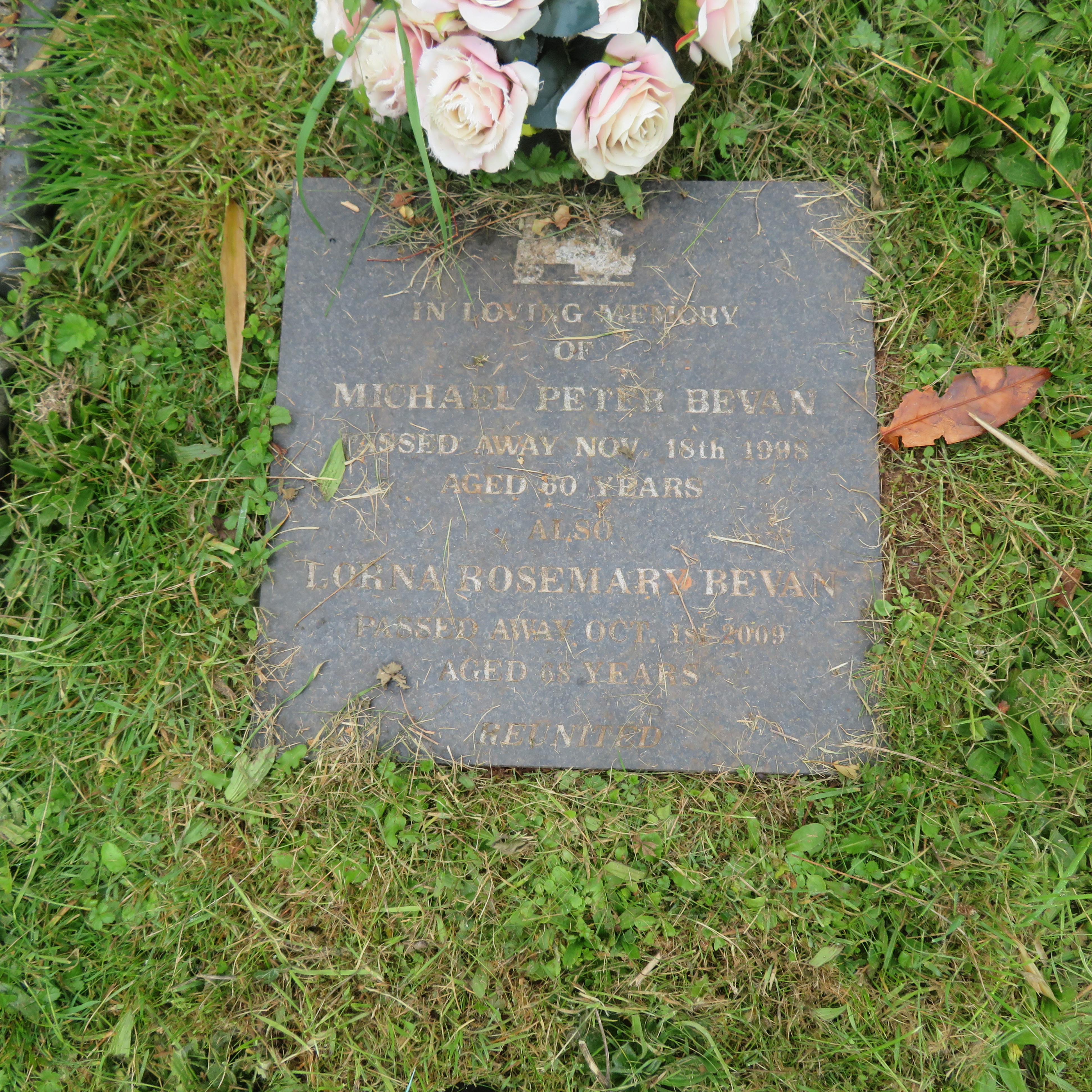 MSN-N.CN.F13 1 Bevan