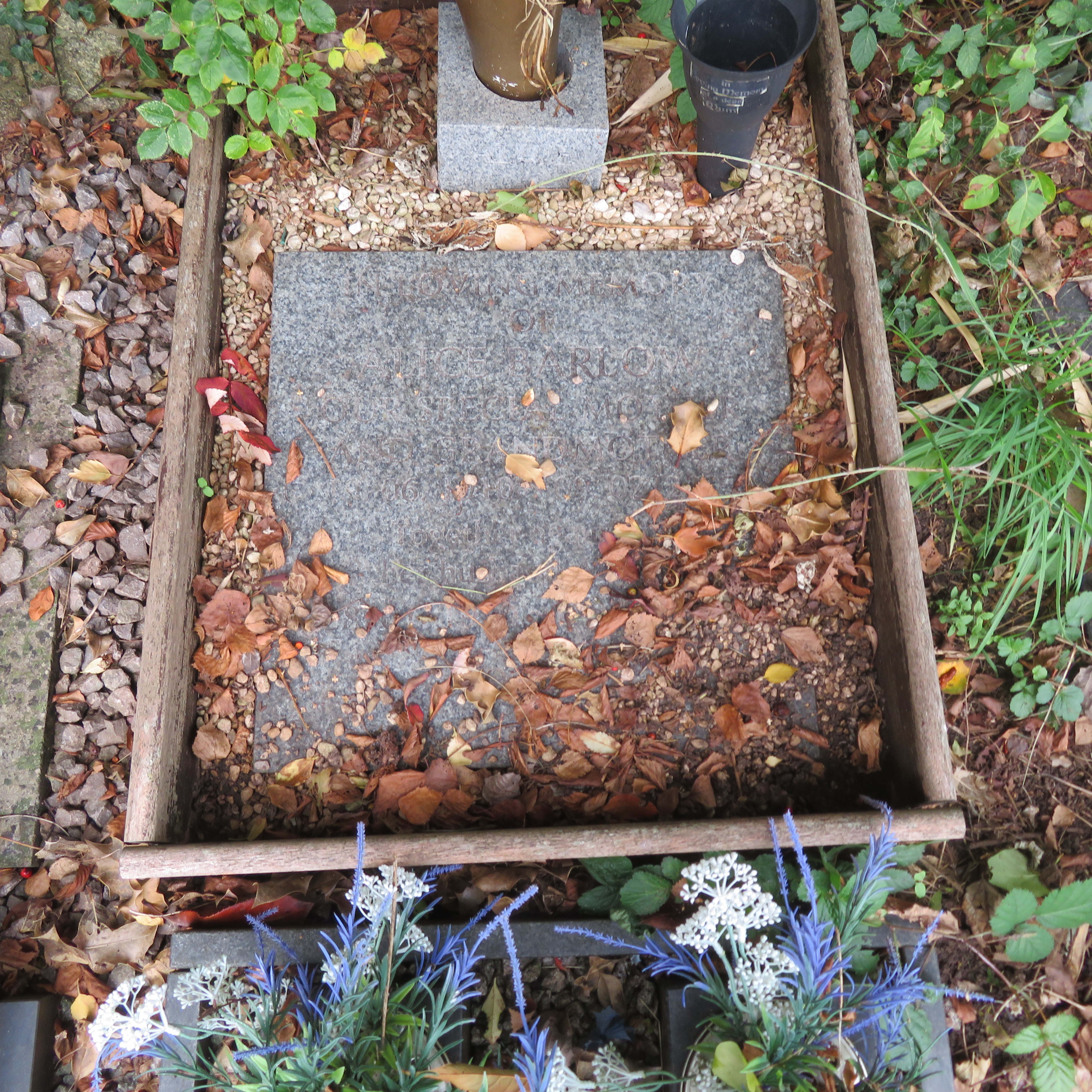 MSN-N.CN.F22 1 Barlow