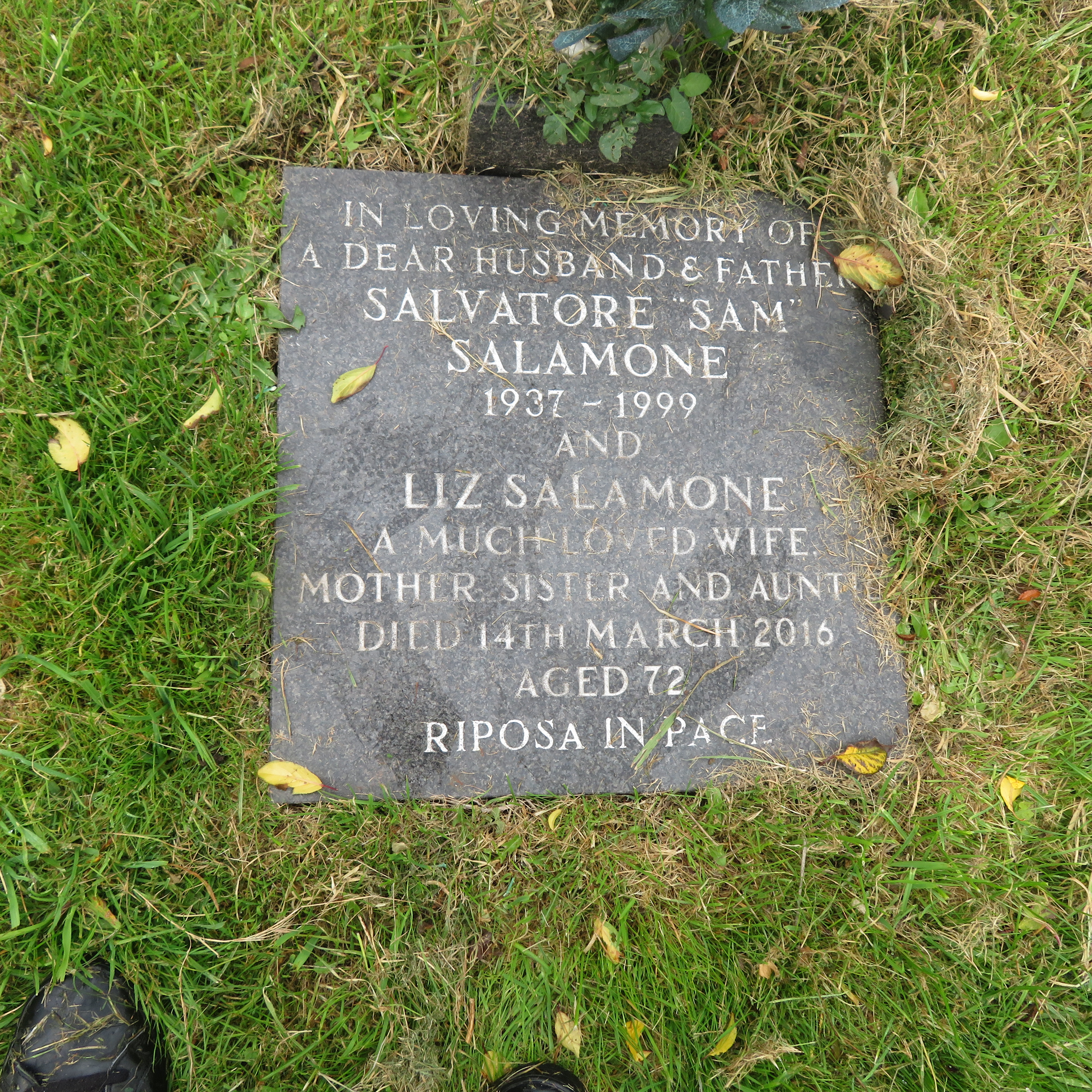 MSN-N.CN.G02 1 Salamone