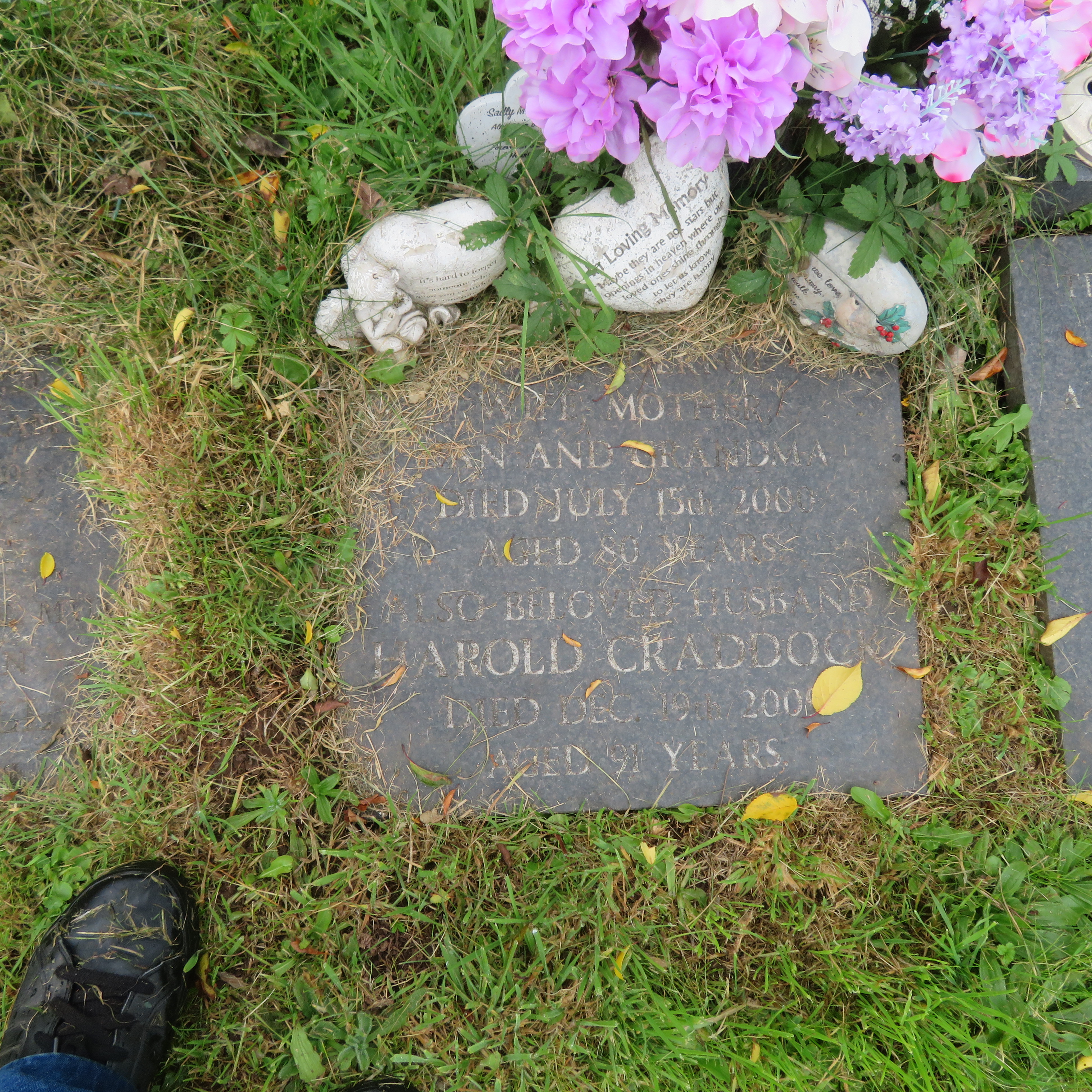 MSN-N.CN.G07 1 Craddock