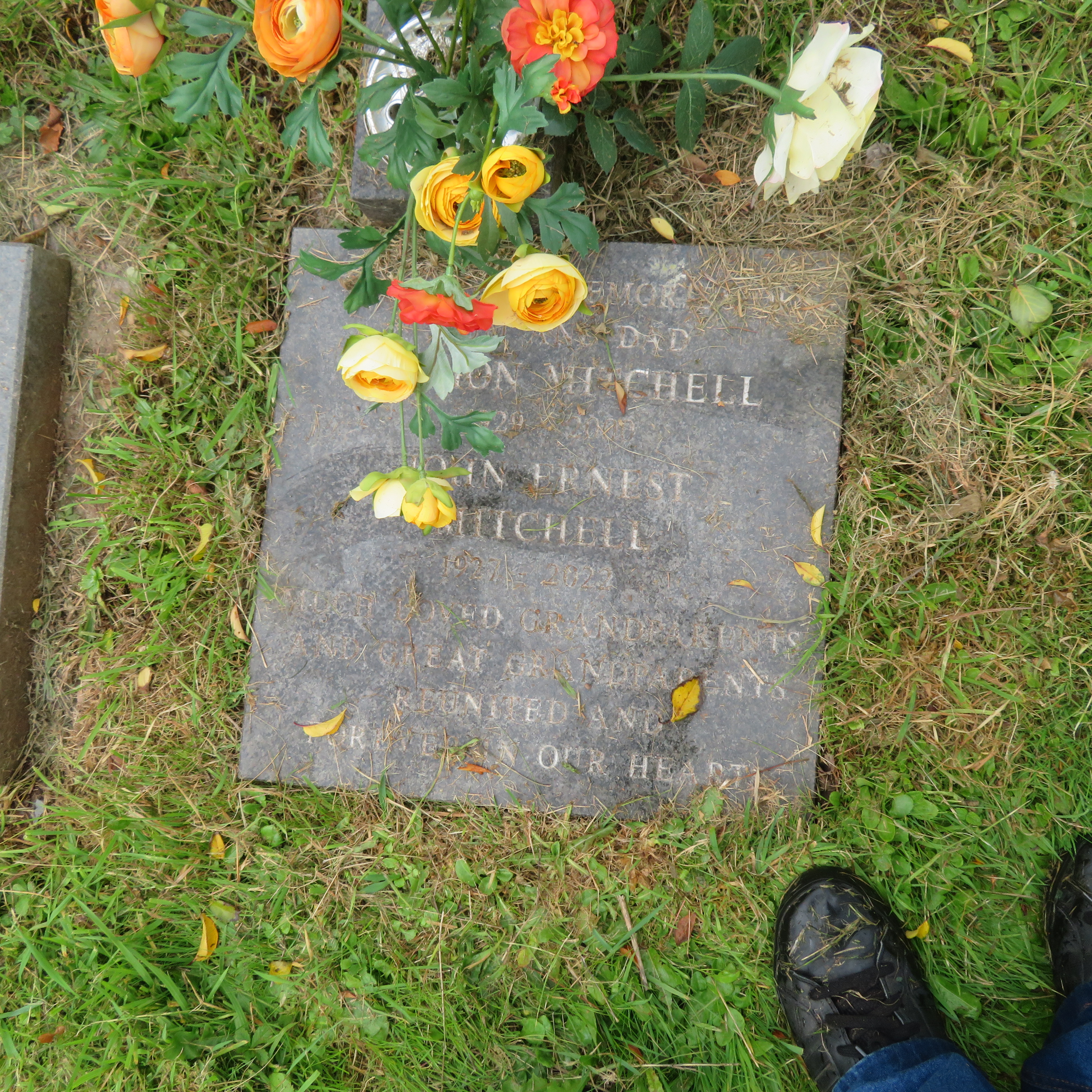 MSN-N.CN.G09 1 Mitchell