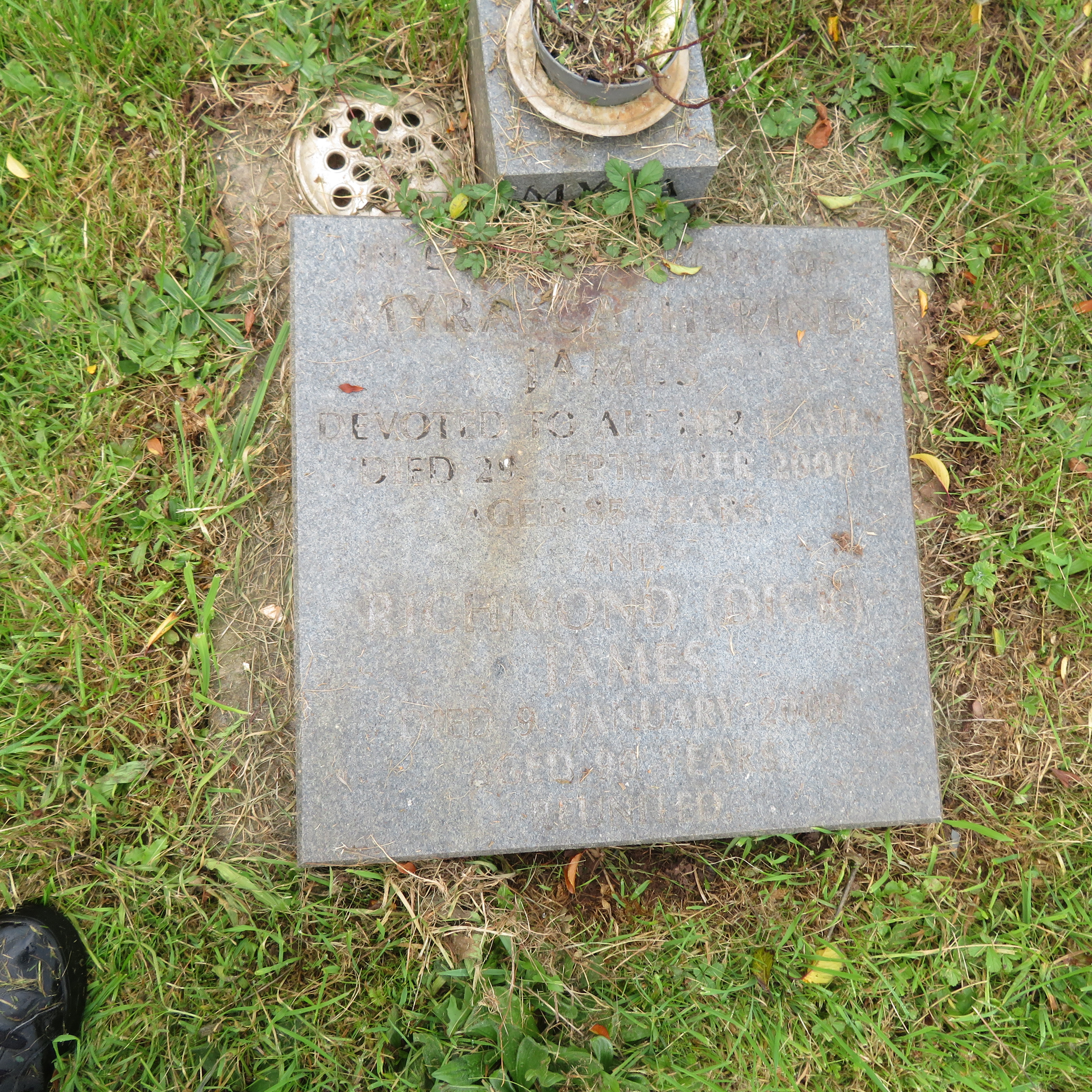 MSN-N.CN.G10 1 James