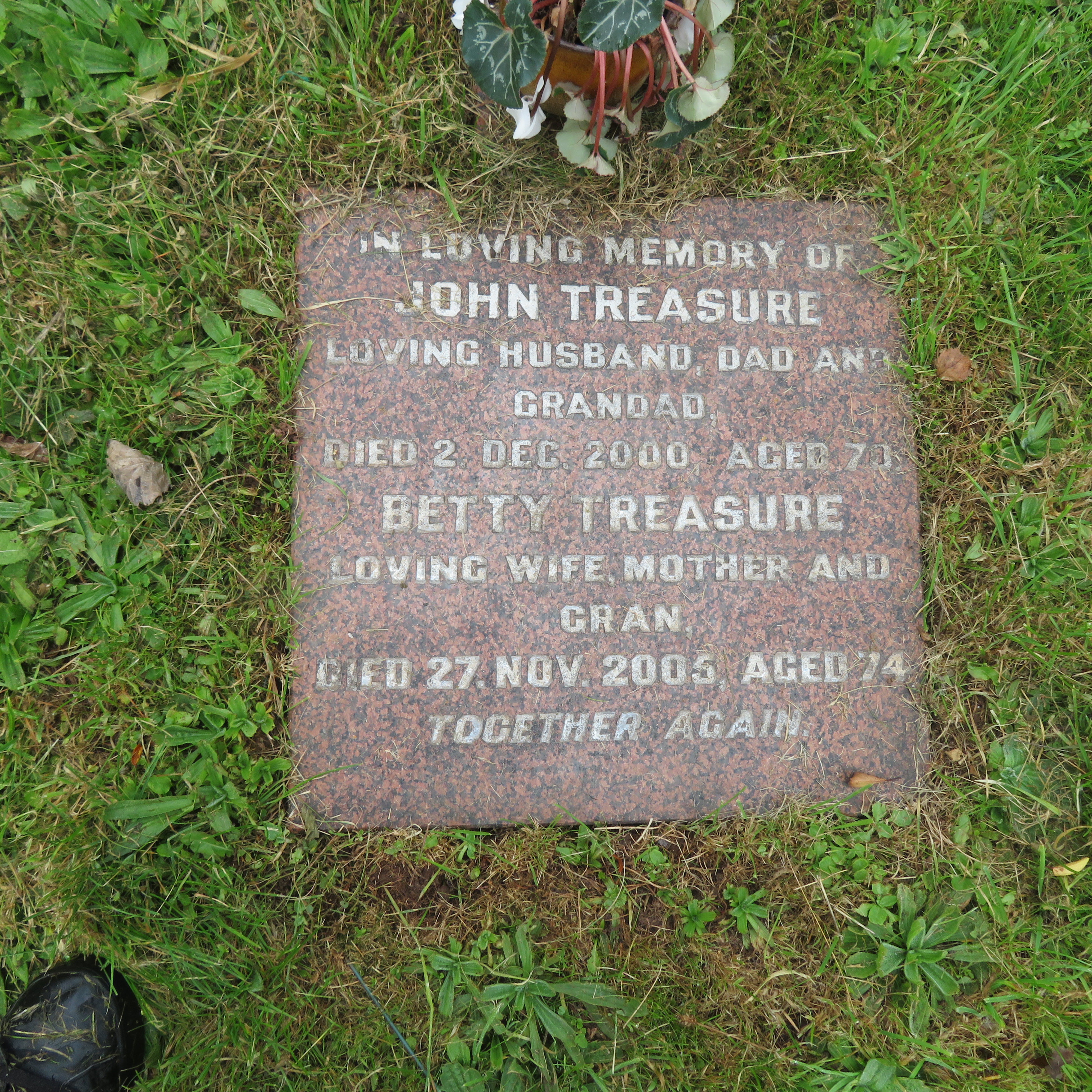 MSN-N.CN.G11 1 Treasure