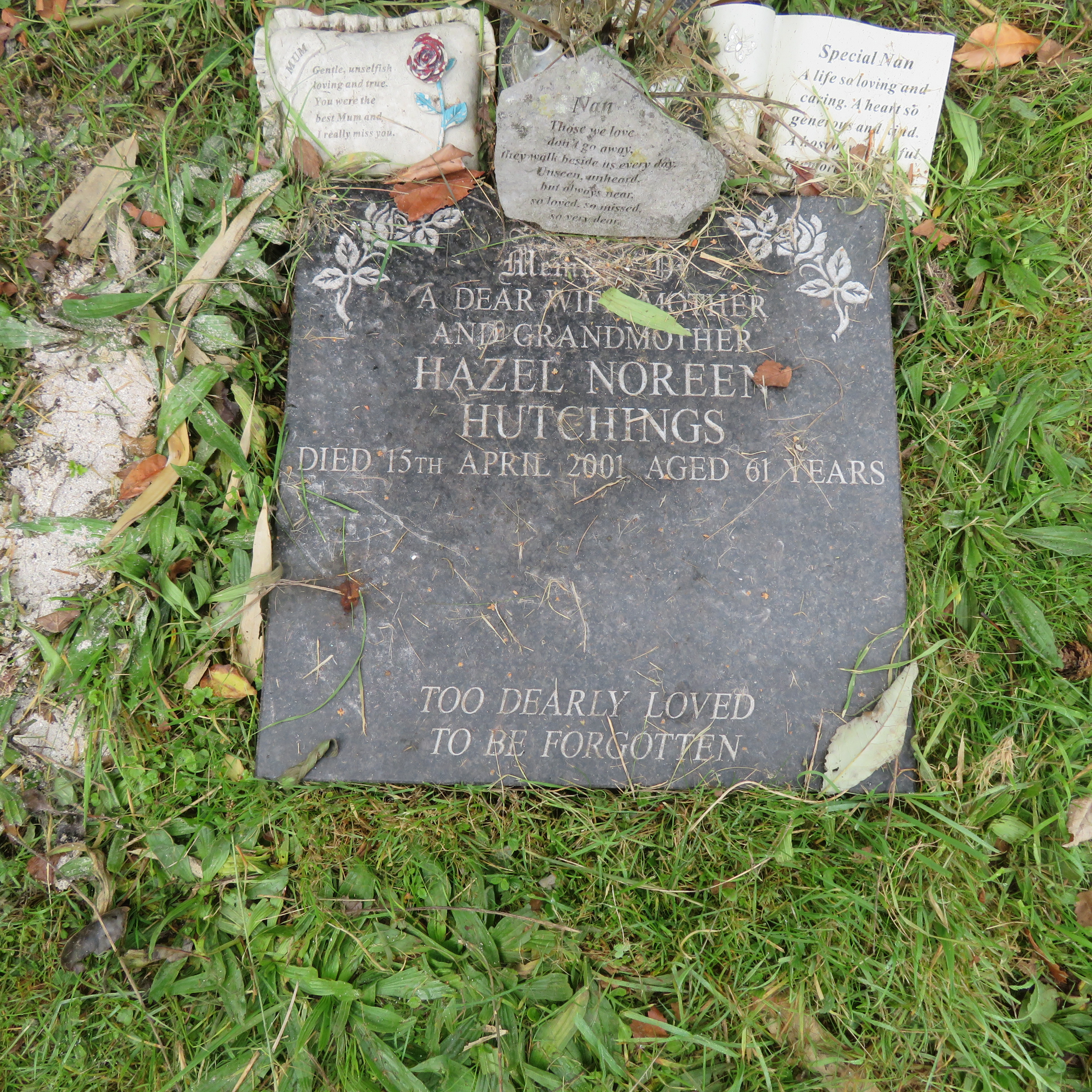 MSN-N.CN.G16 1 Hutchings