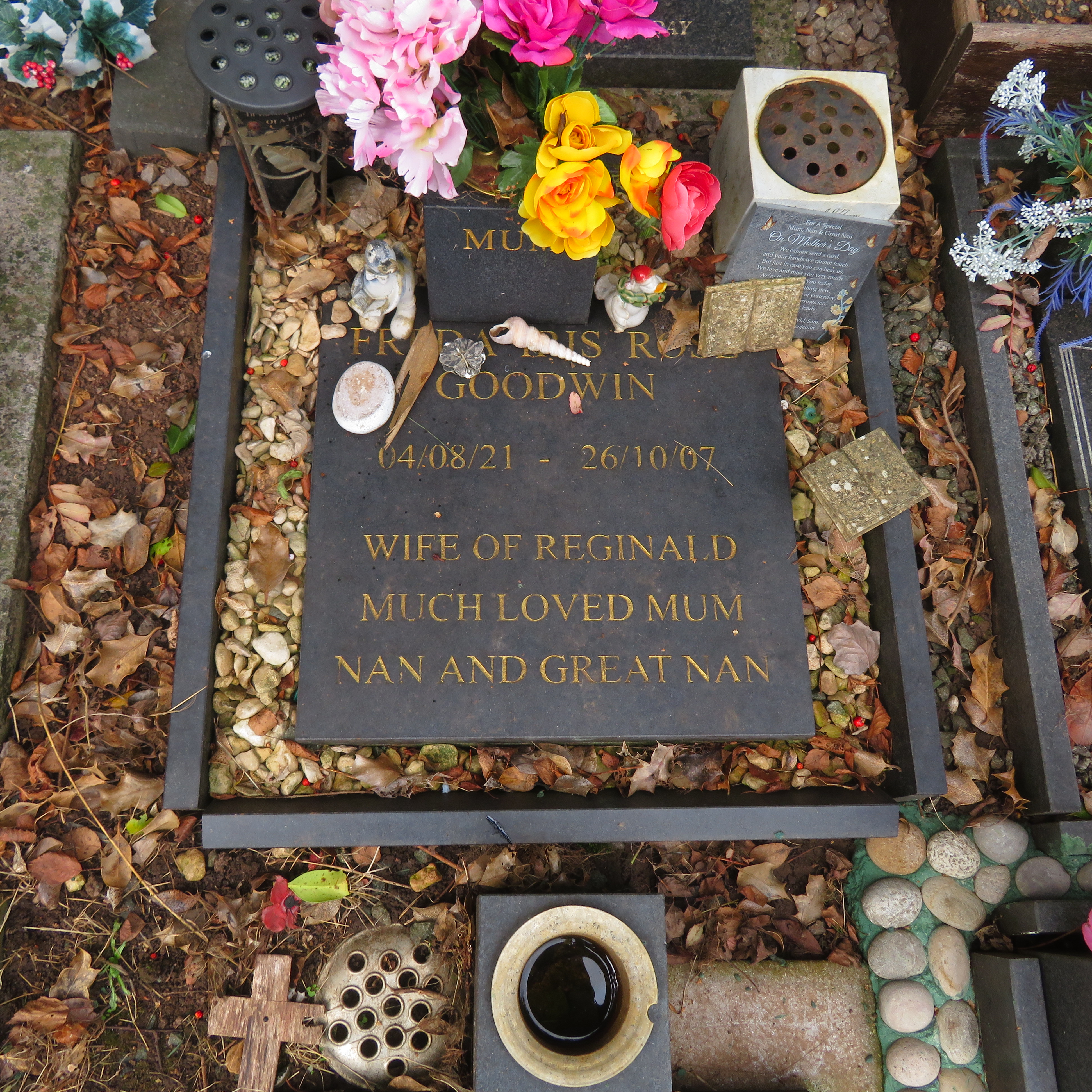 MSN-N.CN.G23 1 Goodwin