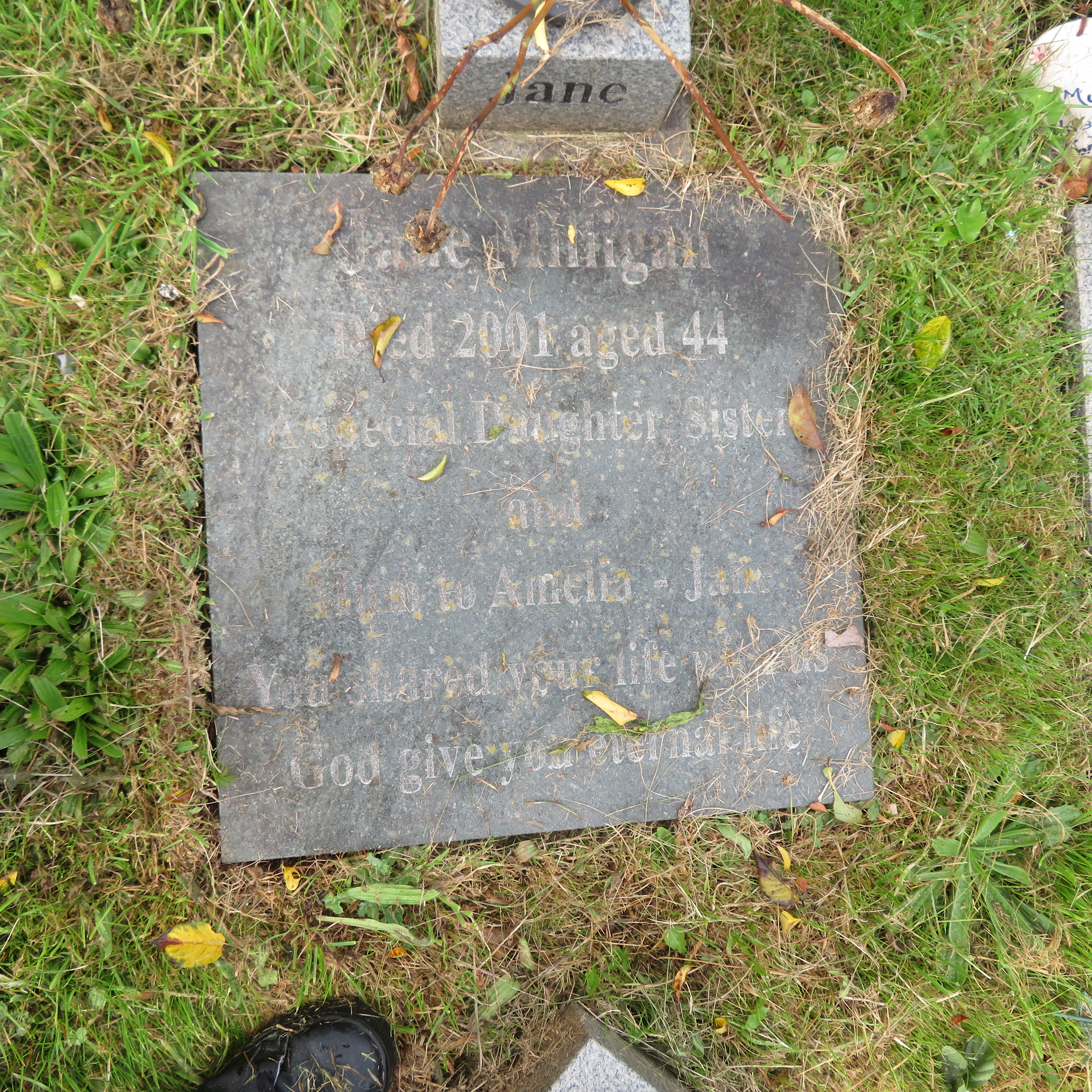 MSN-N.CN.H06 1 Milligan