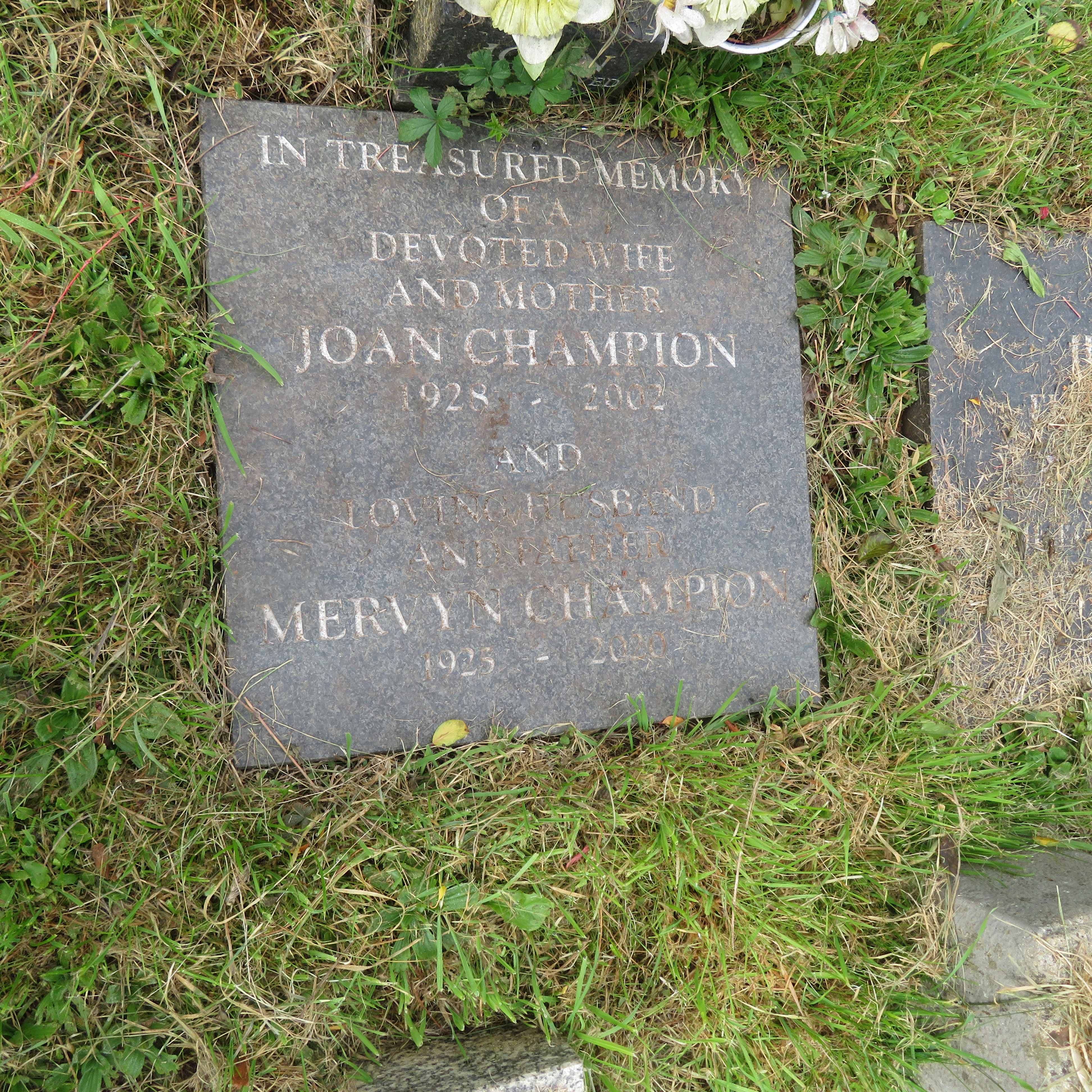 MSN-N.CN.H09 1 Champion