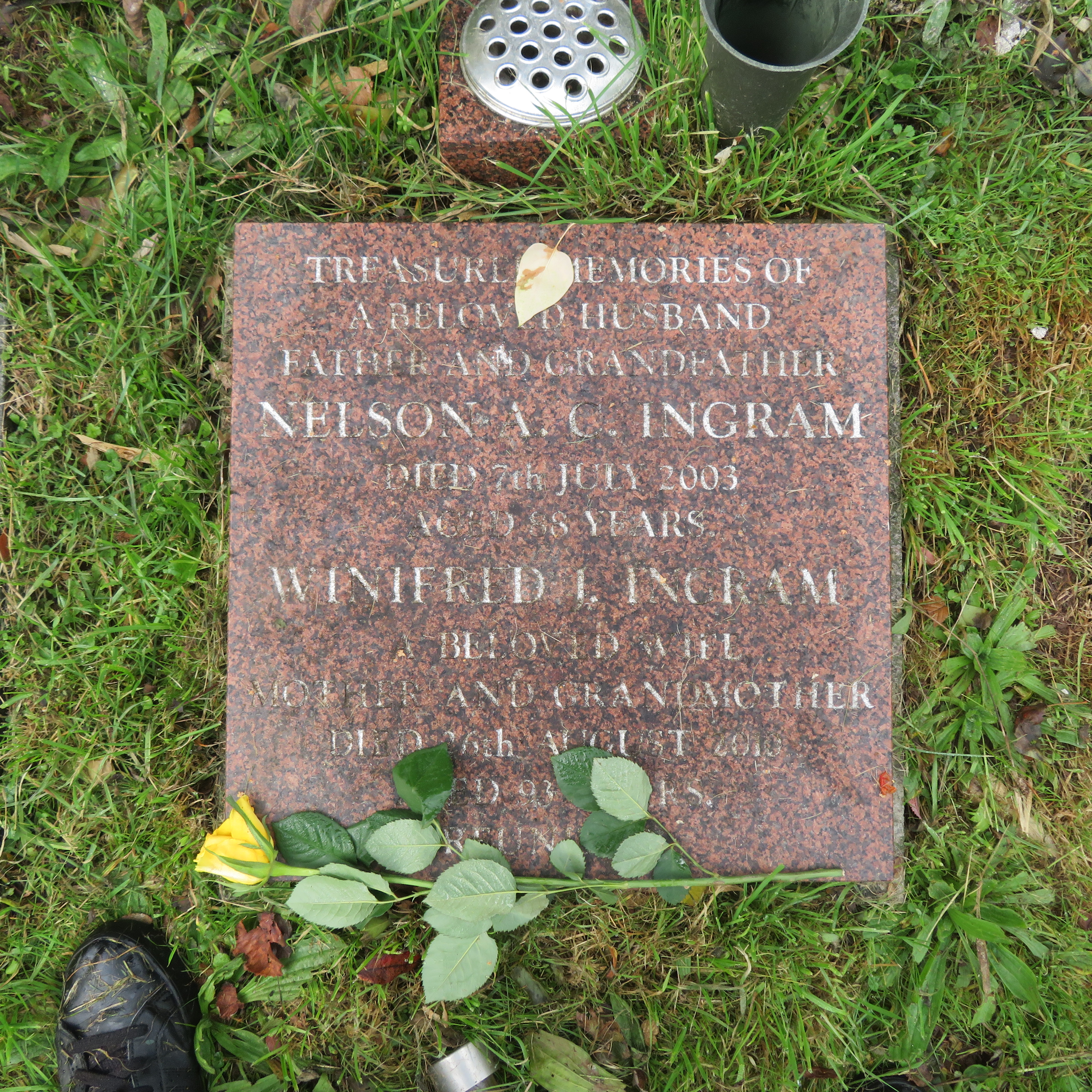 MSN-N.CN.H17 1 Ingram