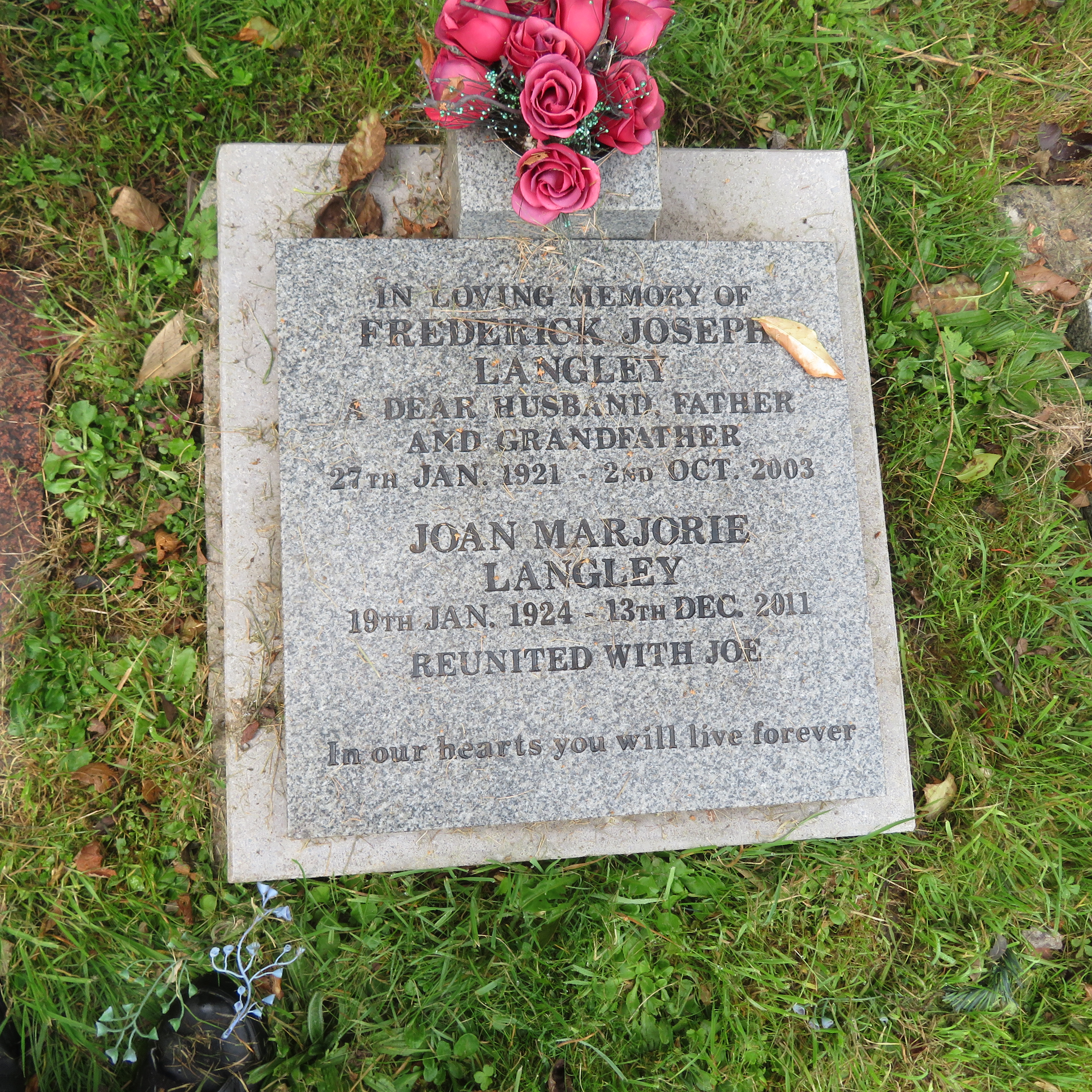 MSN-N.CN.H19 1 Langley