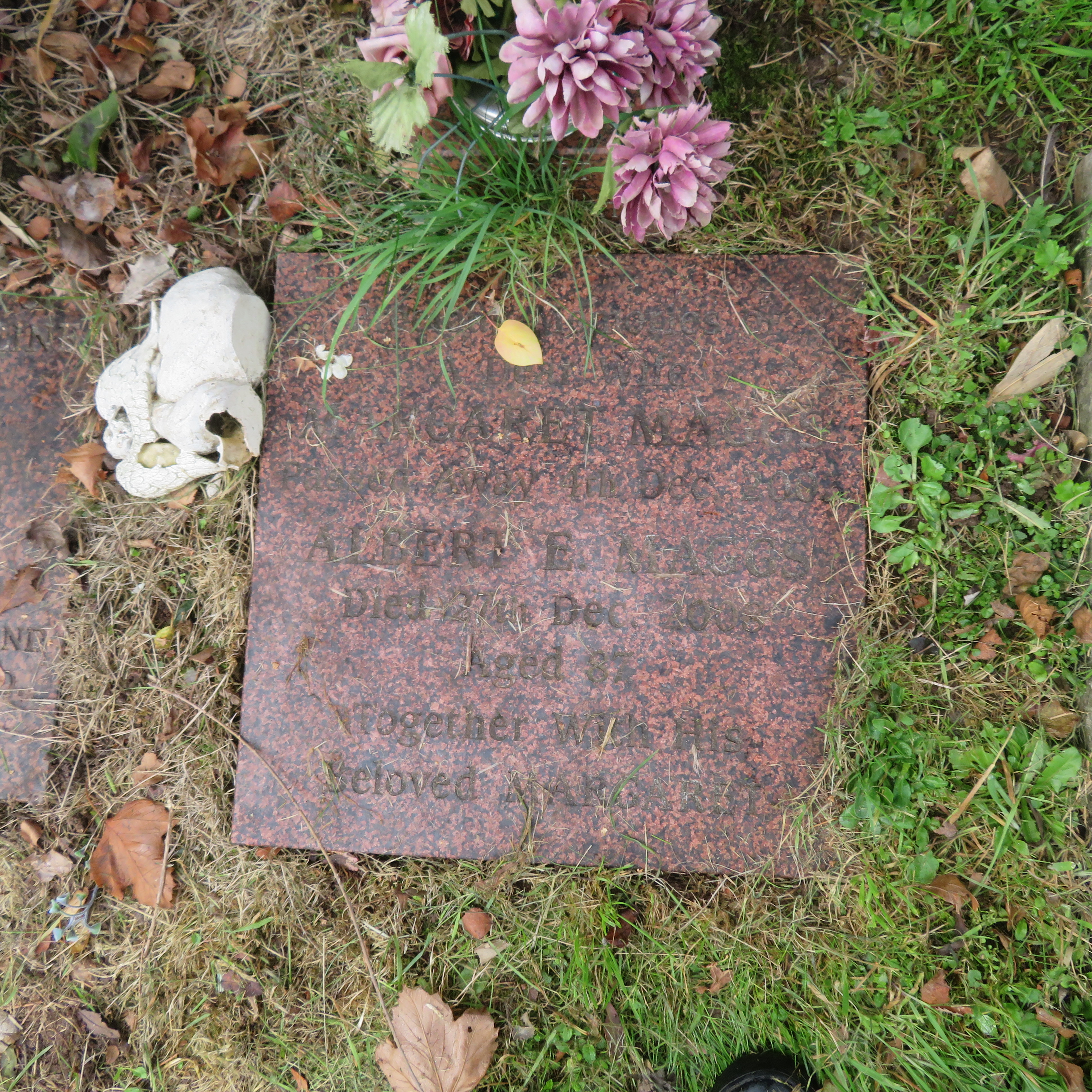 MSN-N.CN.H20 1 Maggs