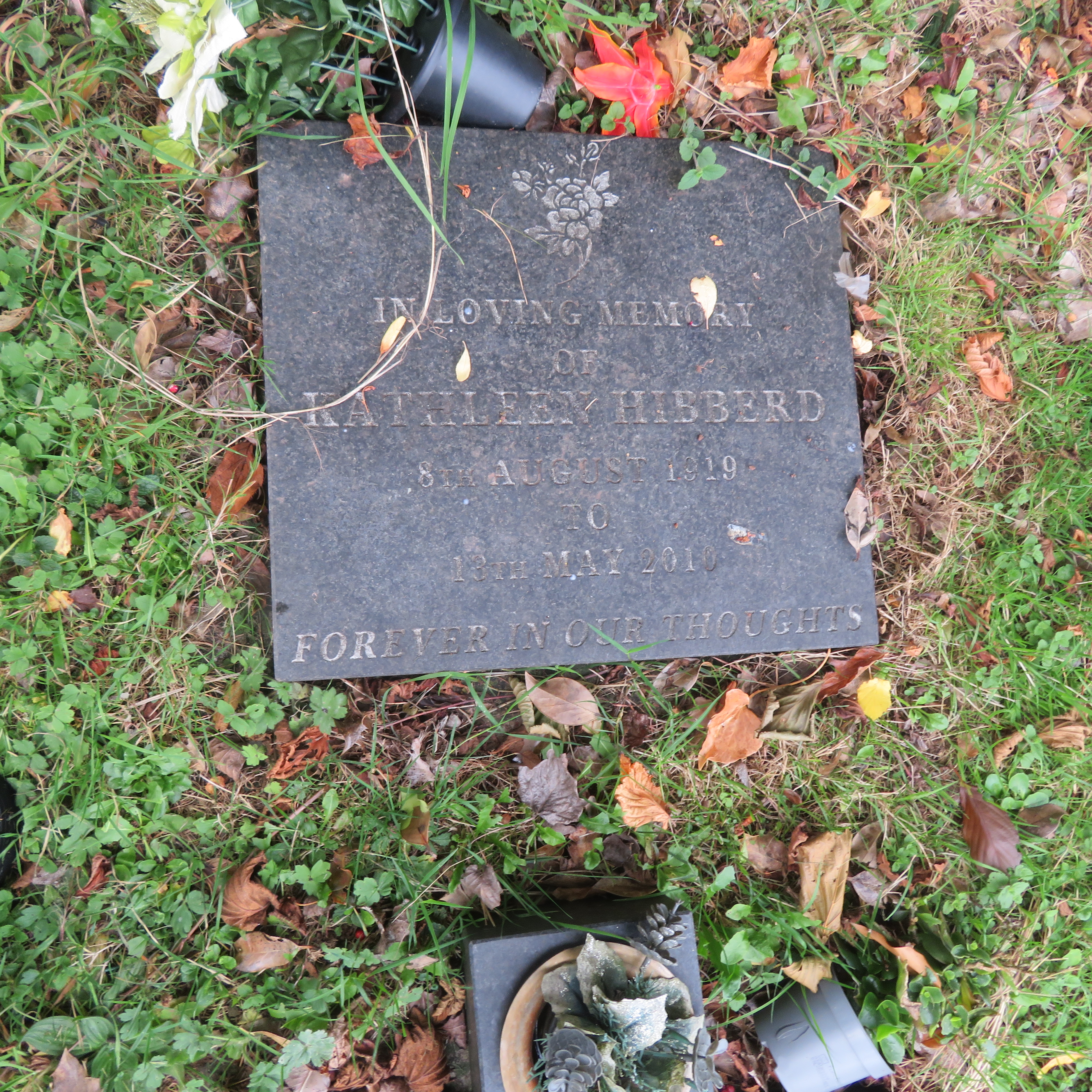 MSN-N.CN.H29 1 Hibberd