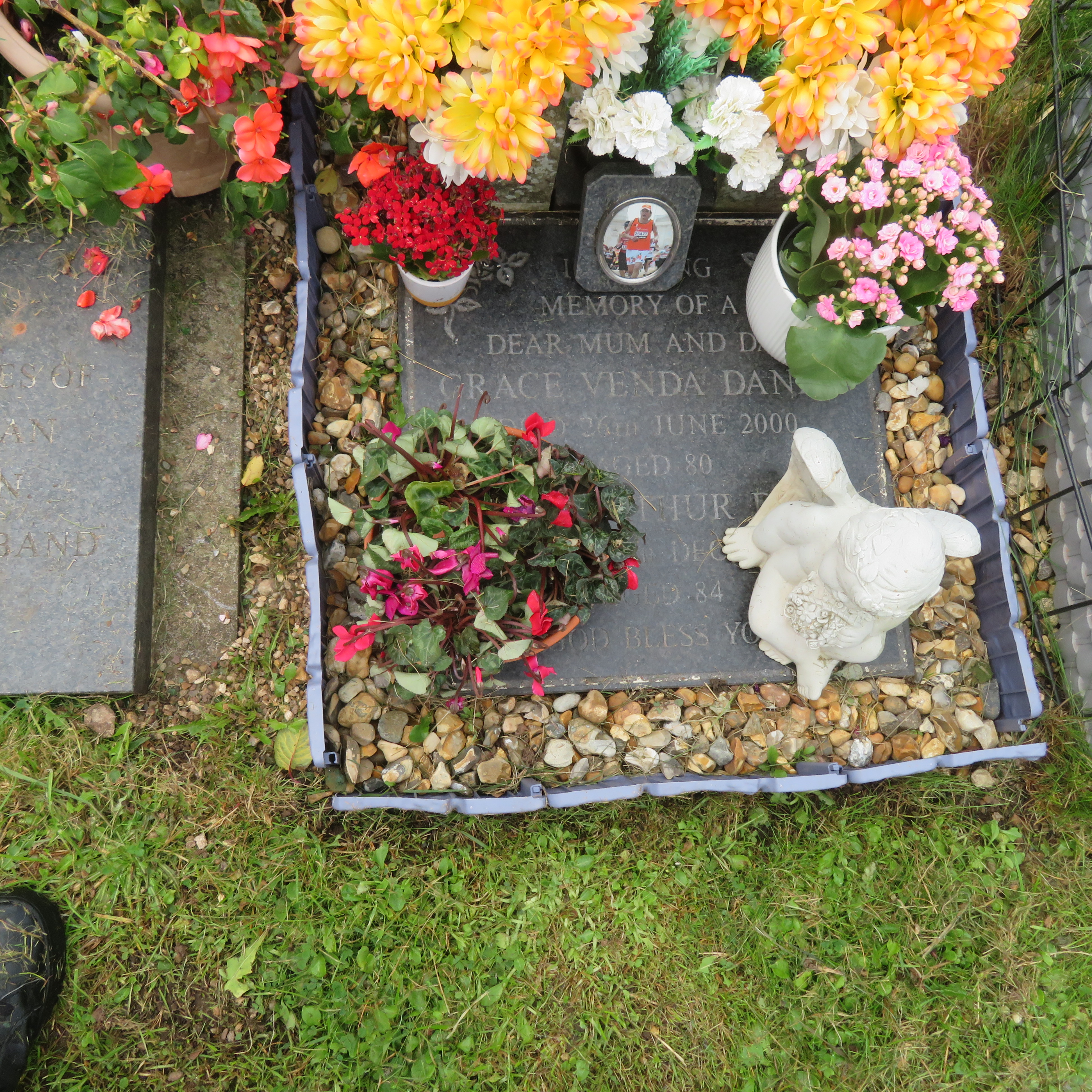 MSN-N.CN.I01 1 Dando