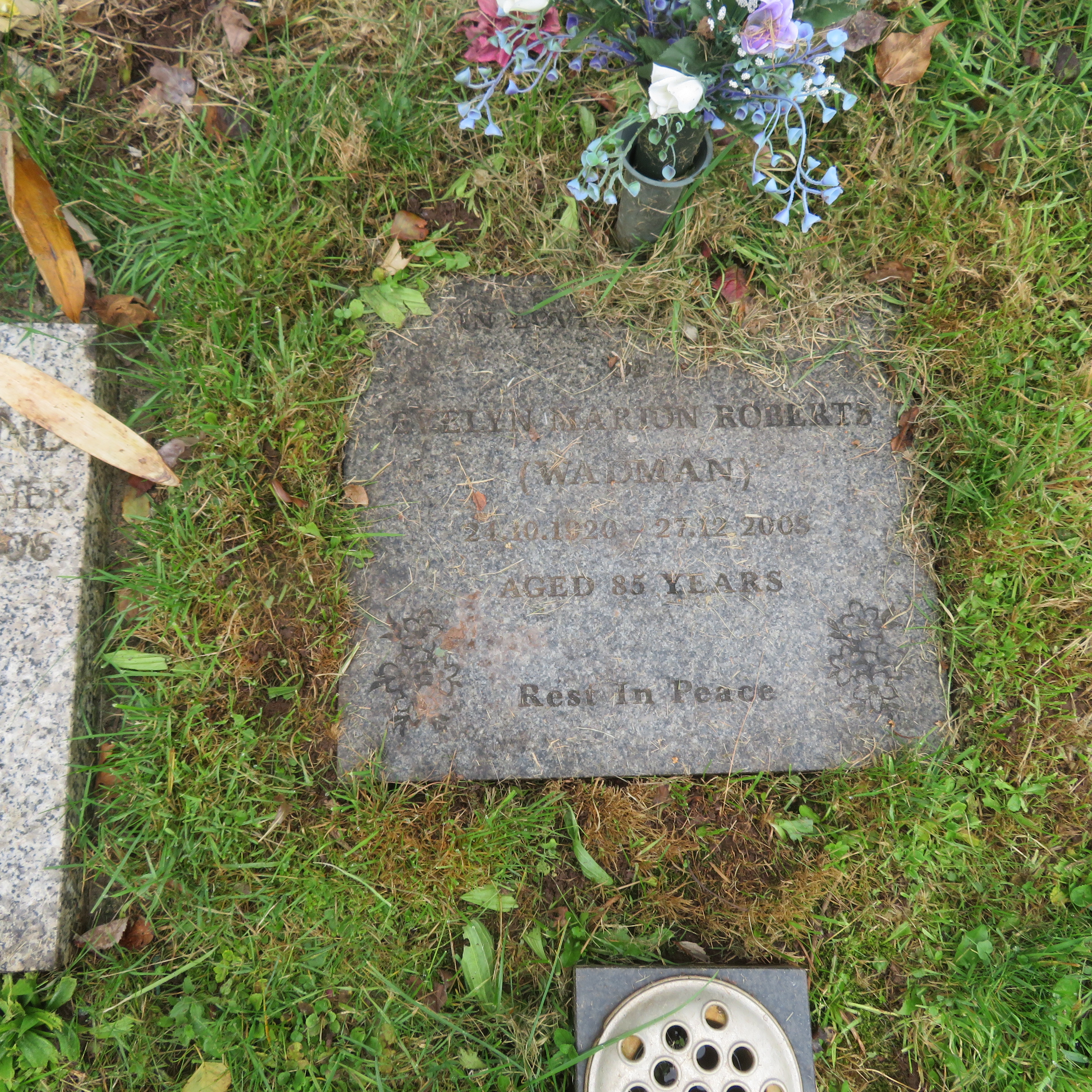 MSN-N.CN.I20 1 Roberts