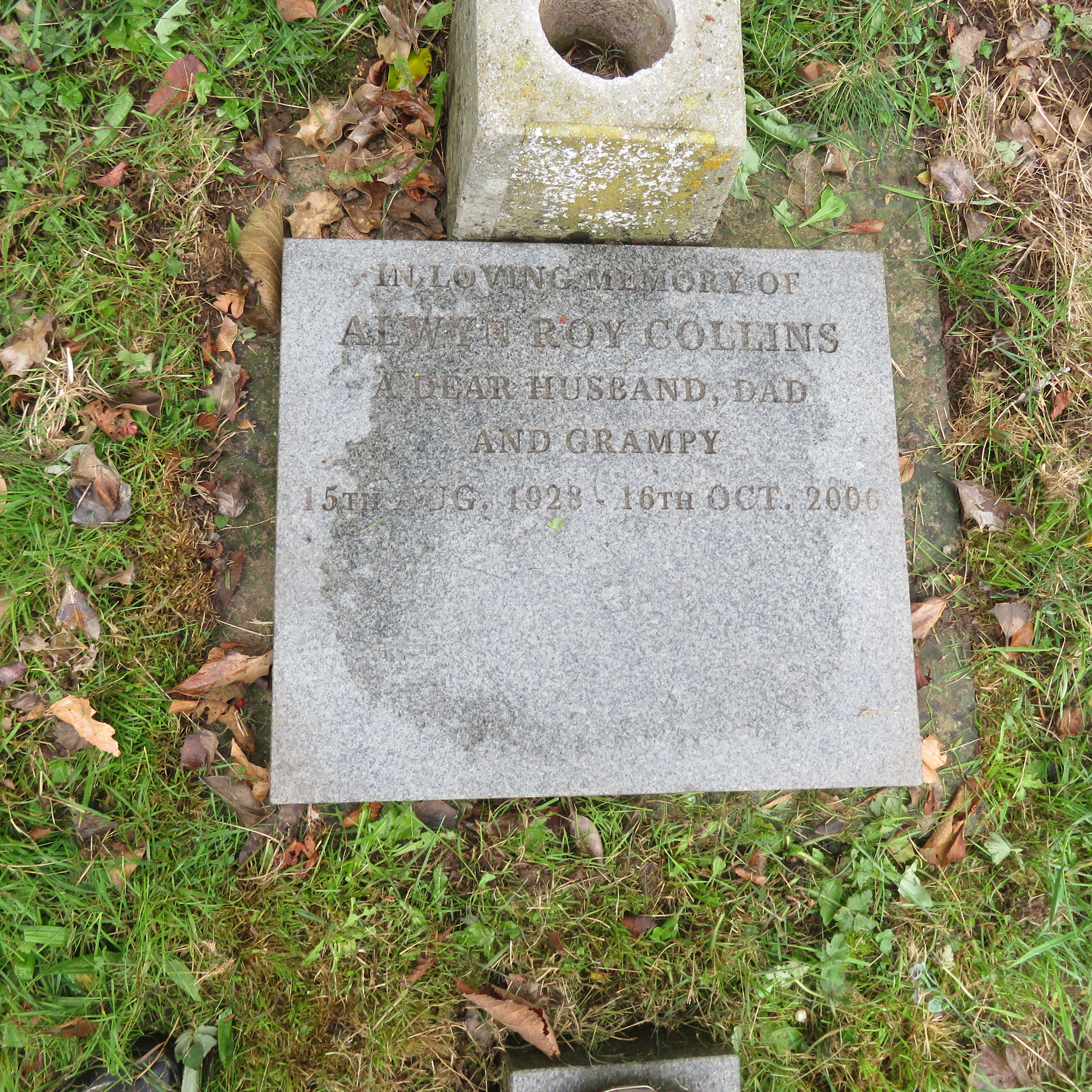 MSN-N.CN.I24 1 Collins