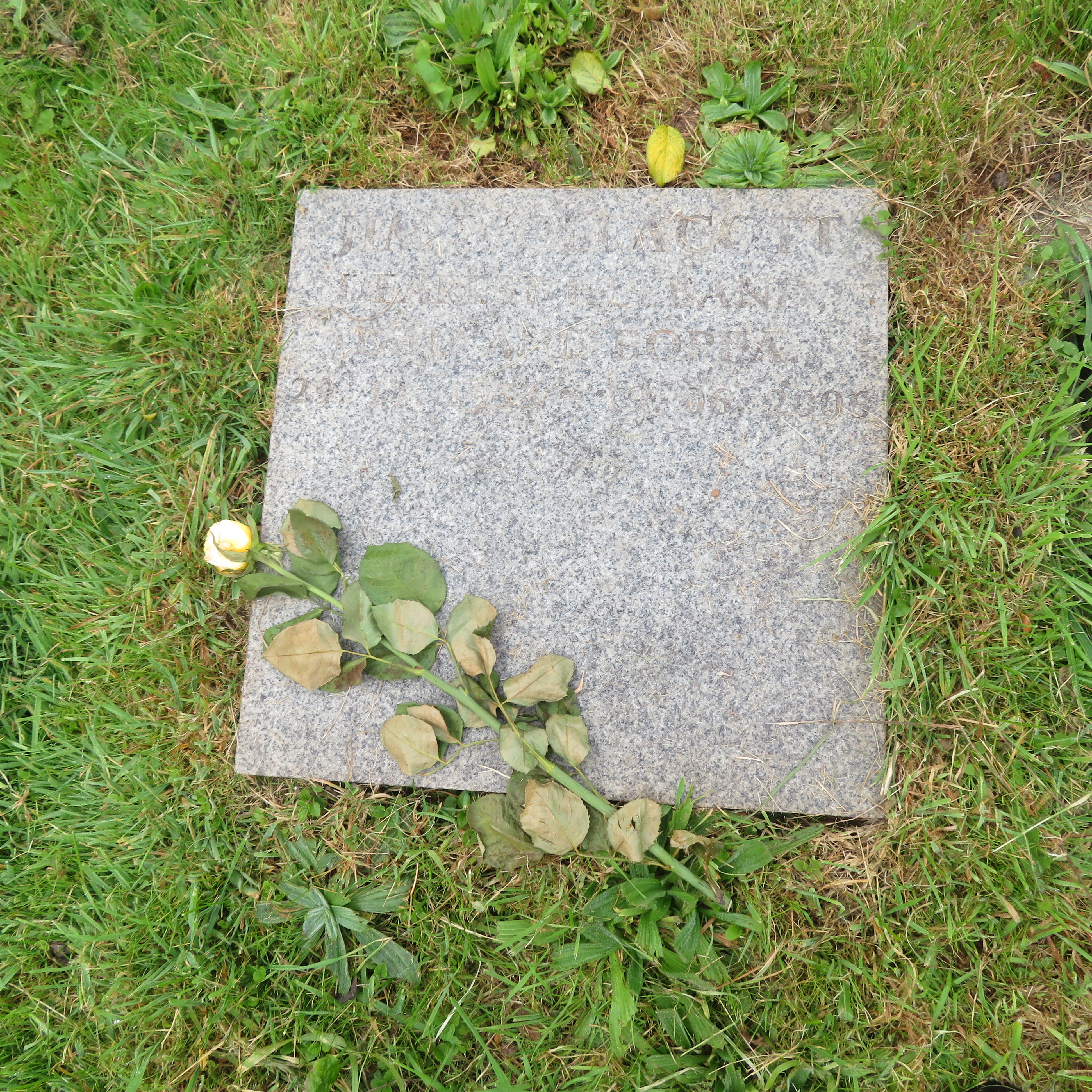 MSN-N.CN.J09 1 Wollacott