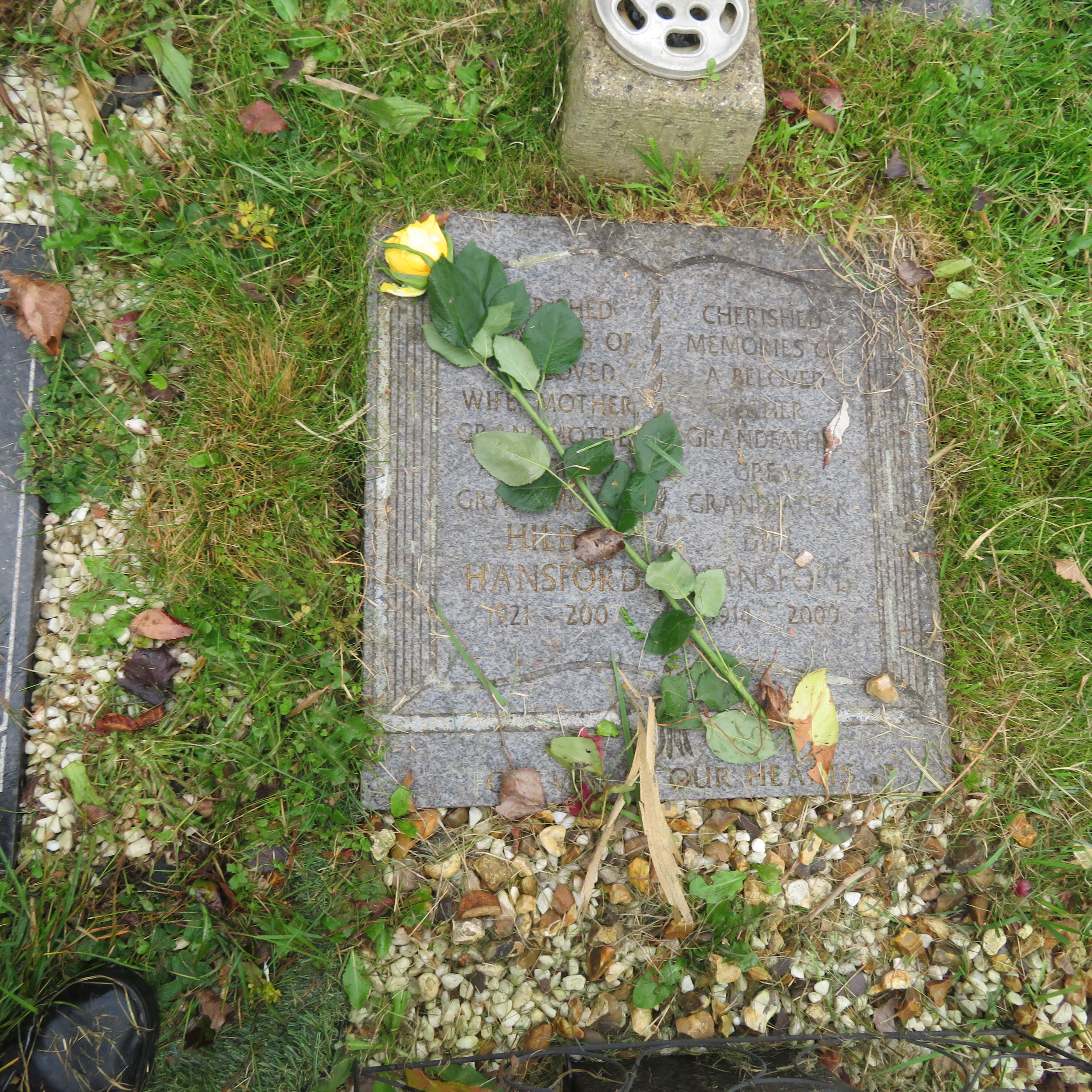 MSN-N.CN.J16 1 Hansford