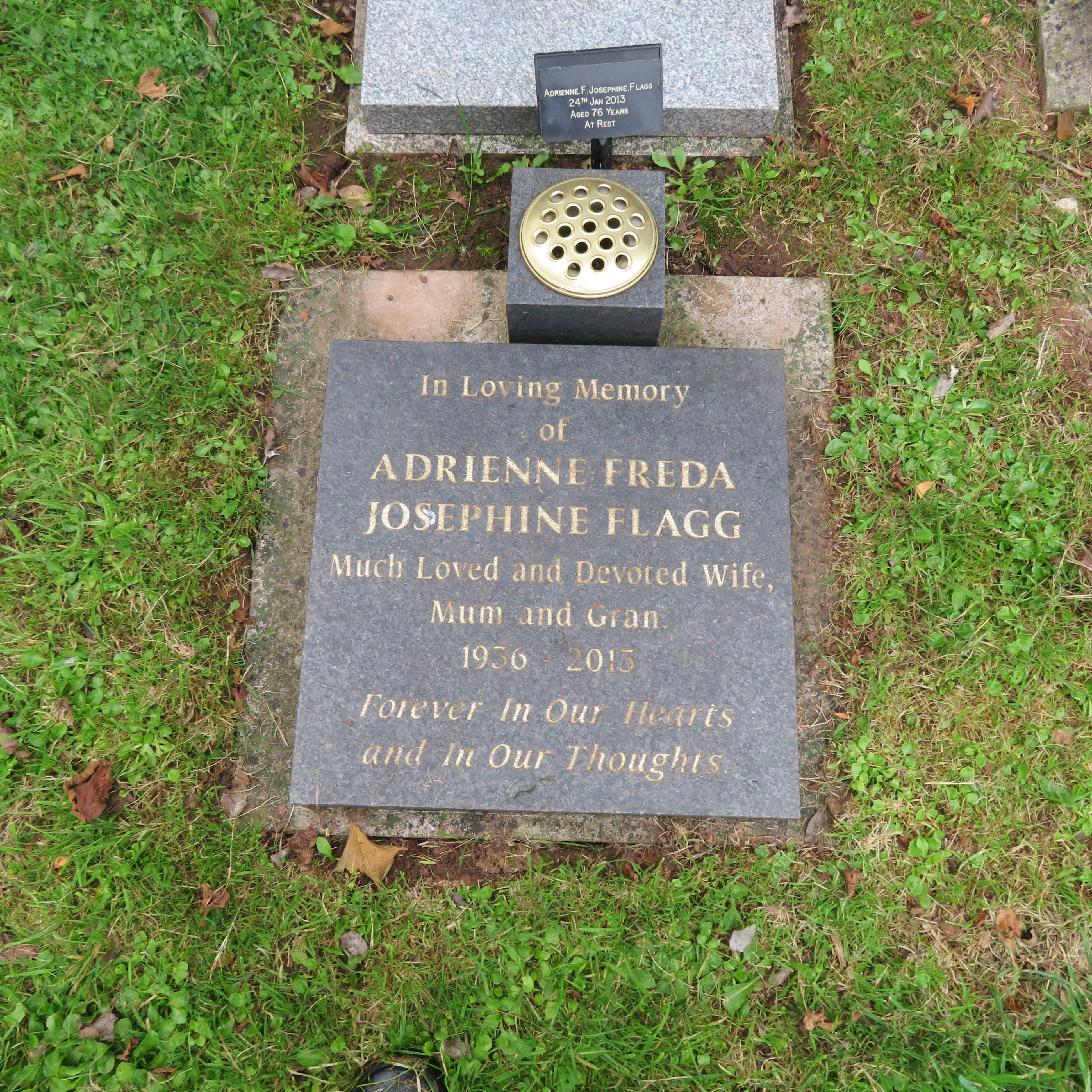 MSN-N.CN.J31 1 Flagg