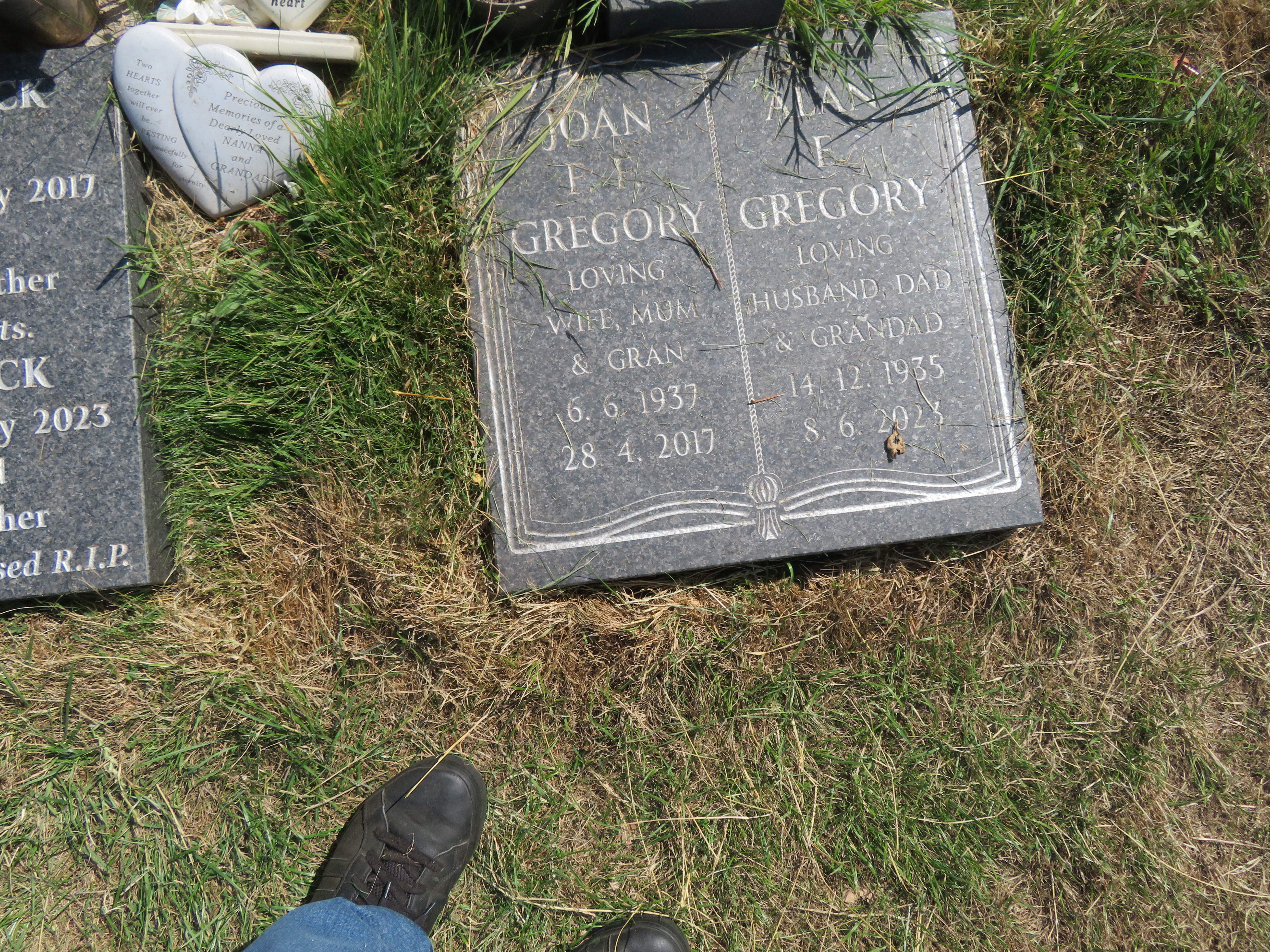 MSN-N.CX.1.01 1 Gregory