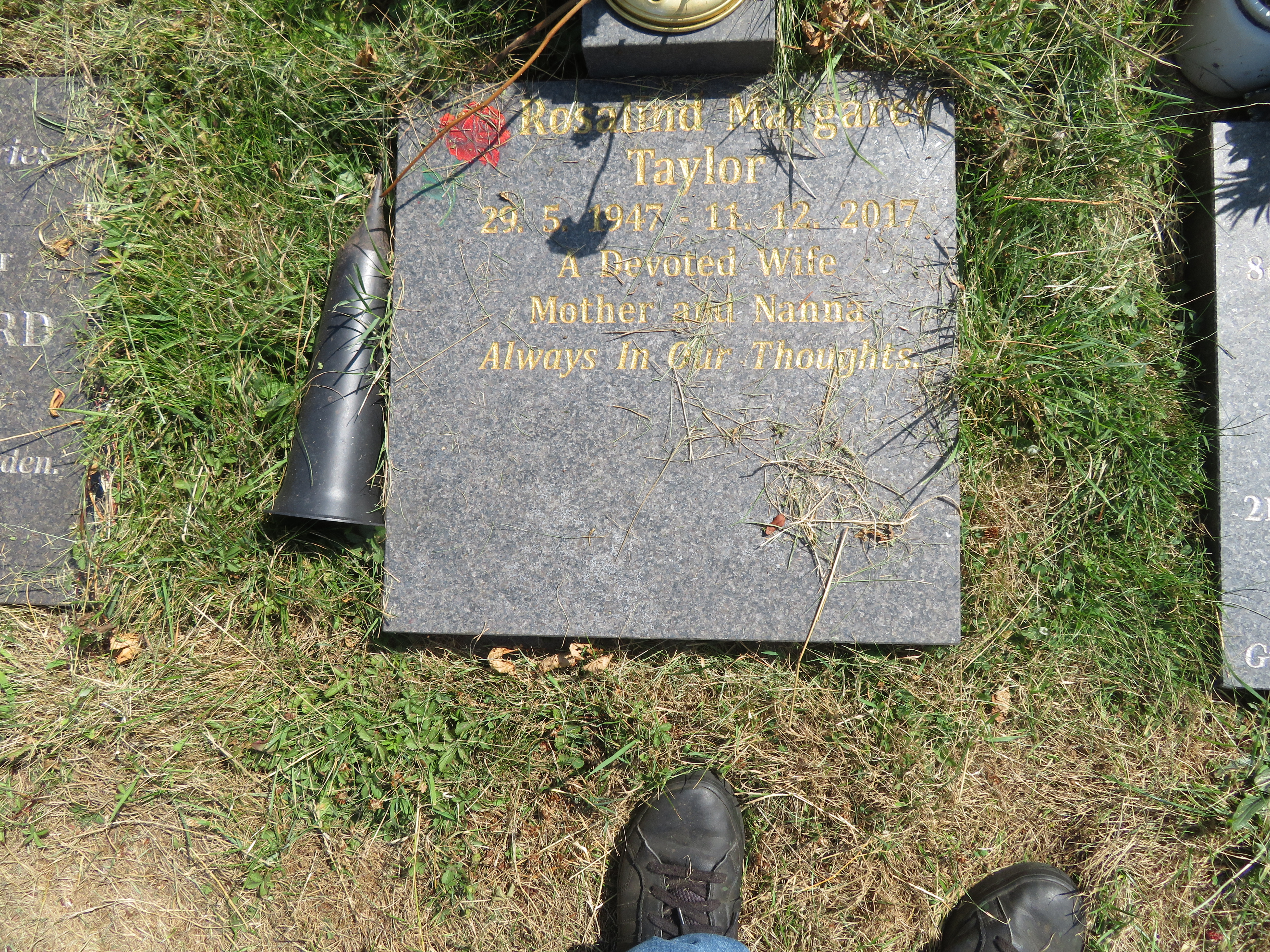 MSN-N.CX.1.03 1 Taylor