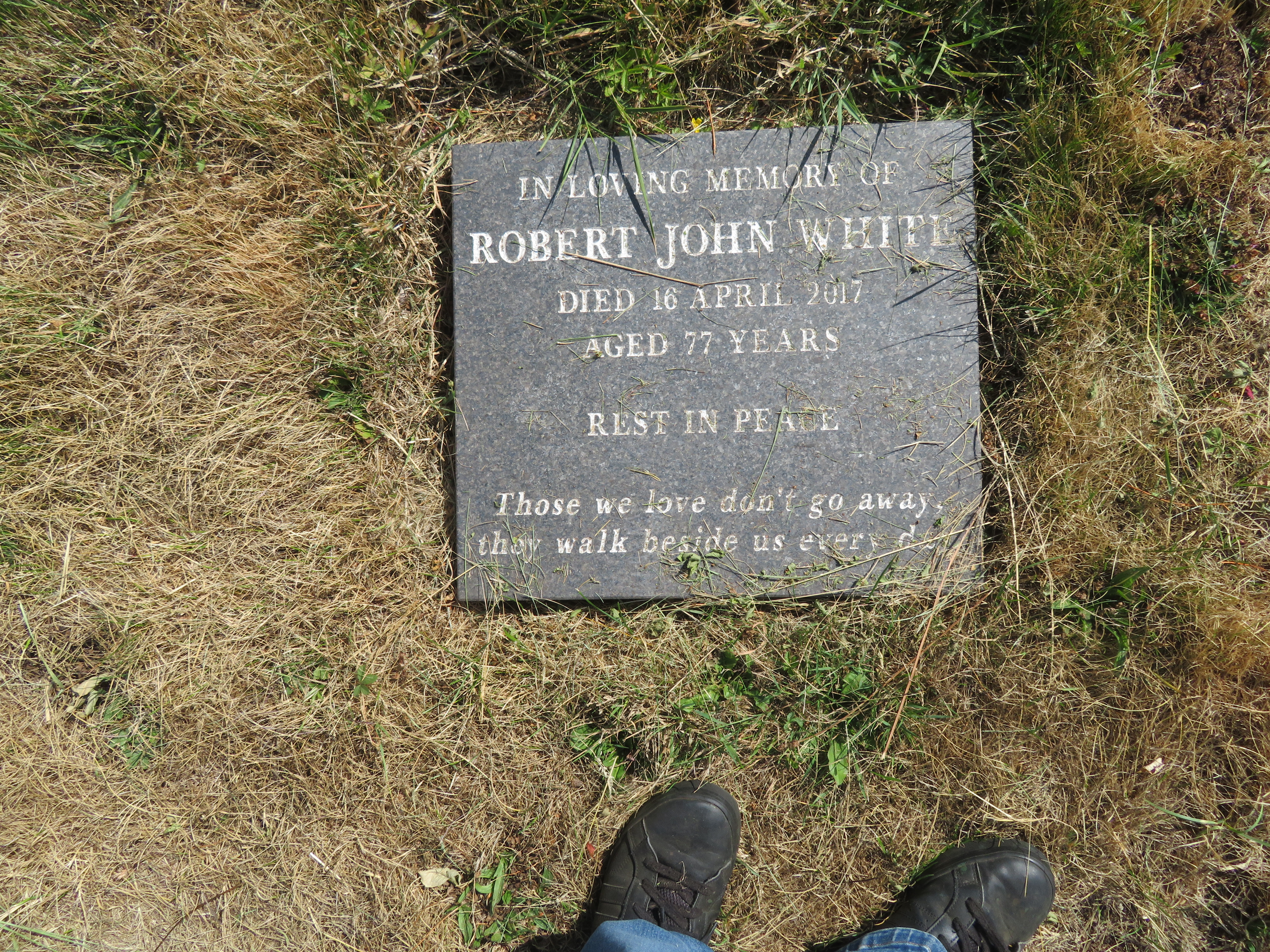 MSN-N.CX.1.05 1 White