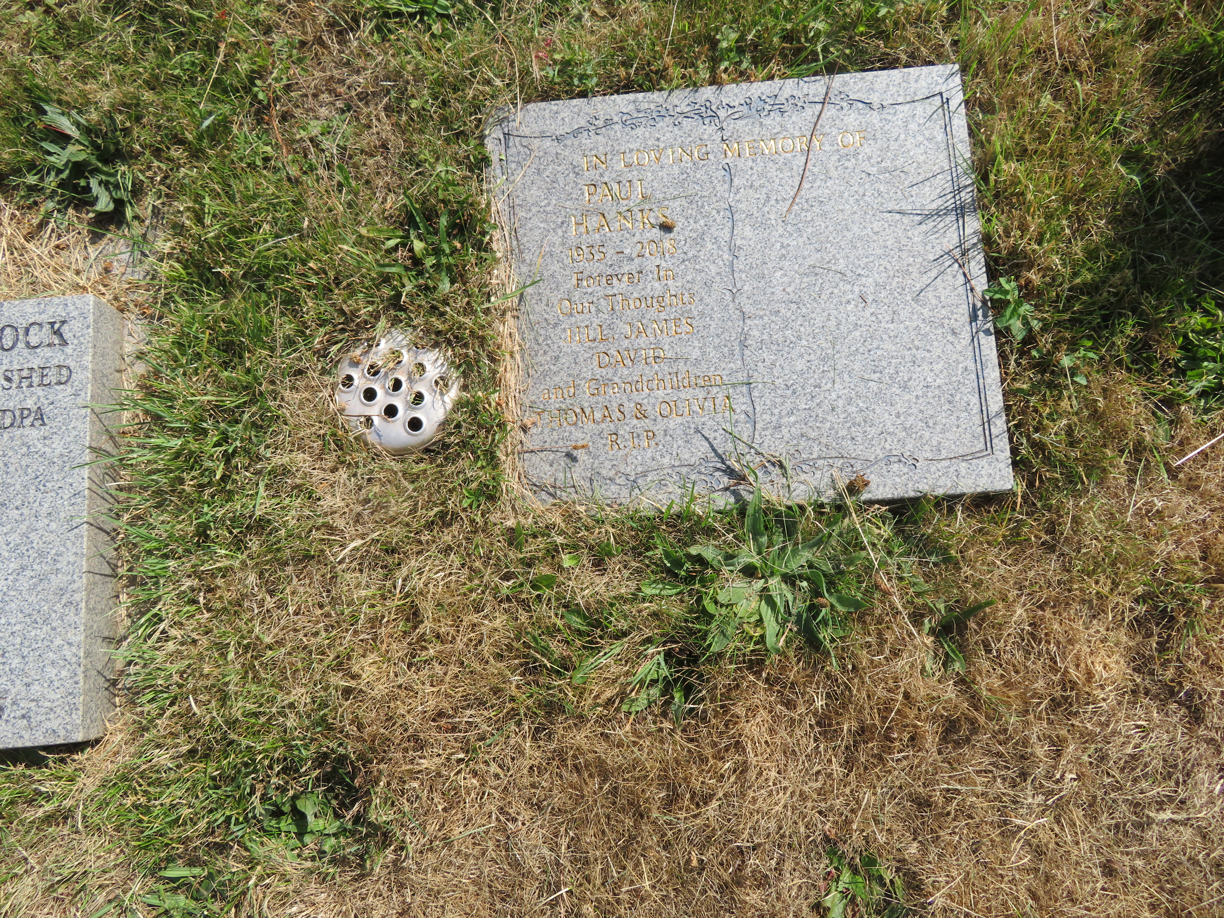 MSN-N.CX.1.11 1 Hanks