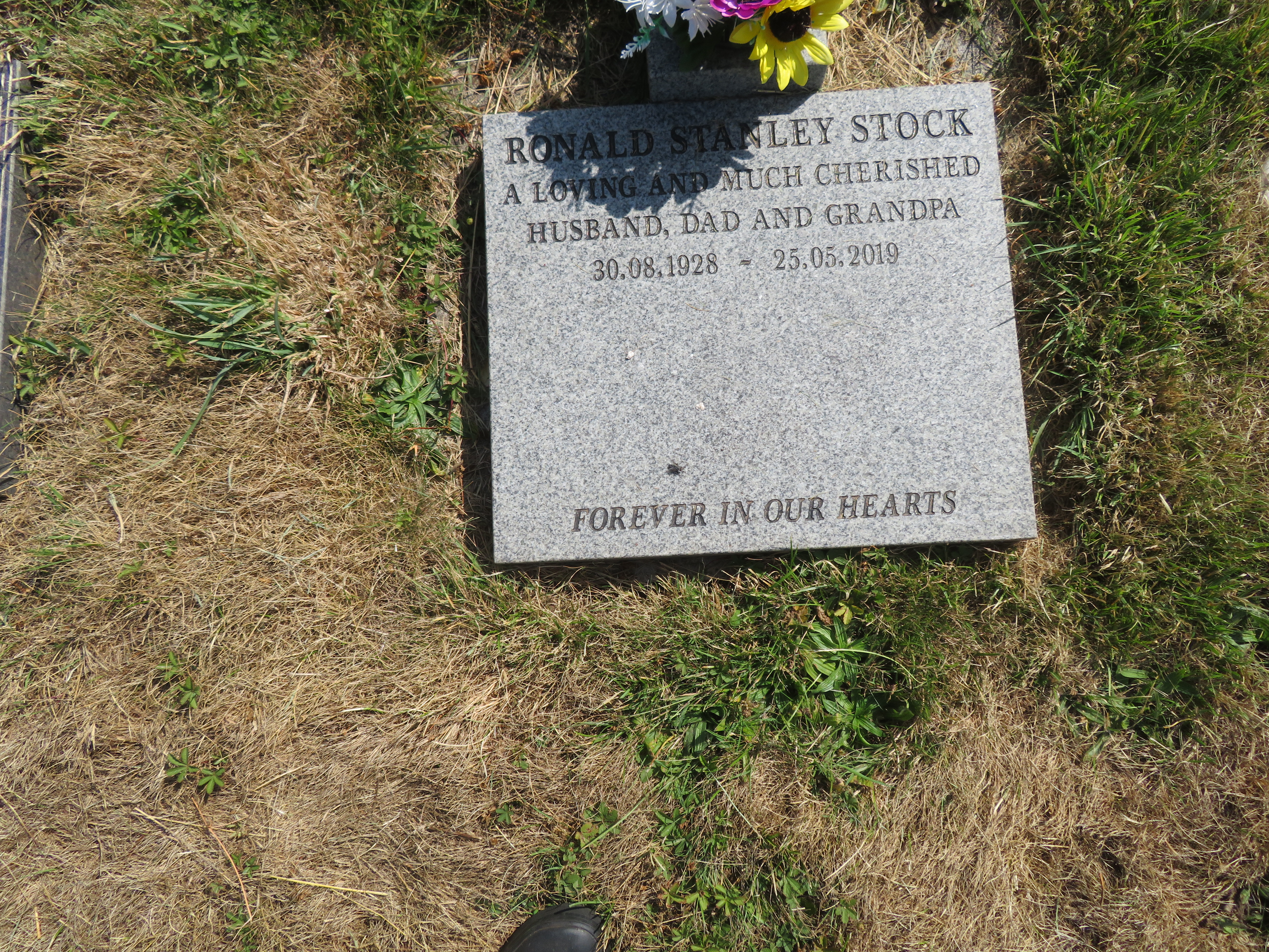 MSN-N.CX.1.12 1 Stock