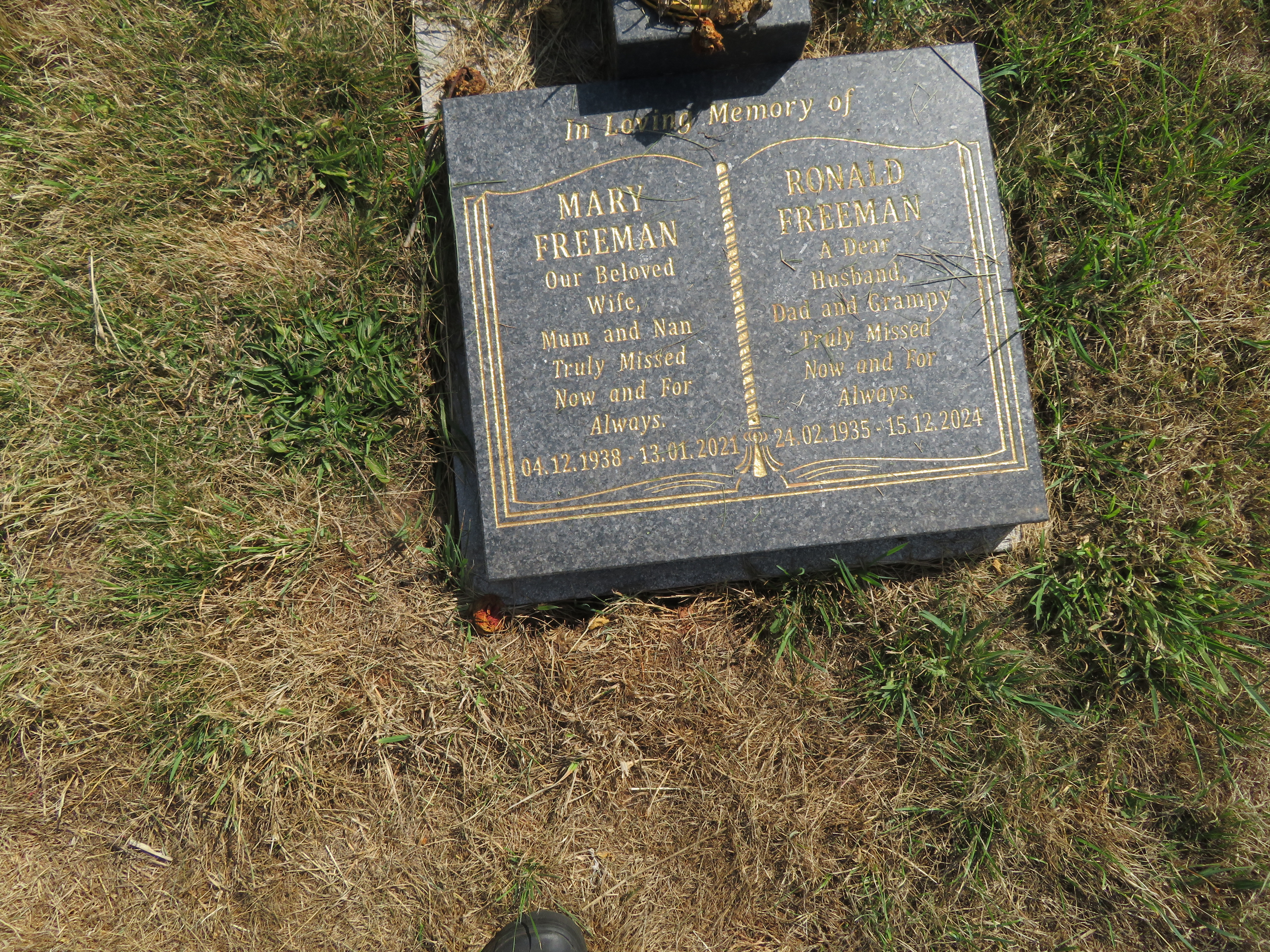 MSN-N.CX.1.19 1 Freeman