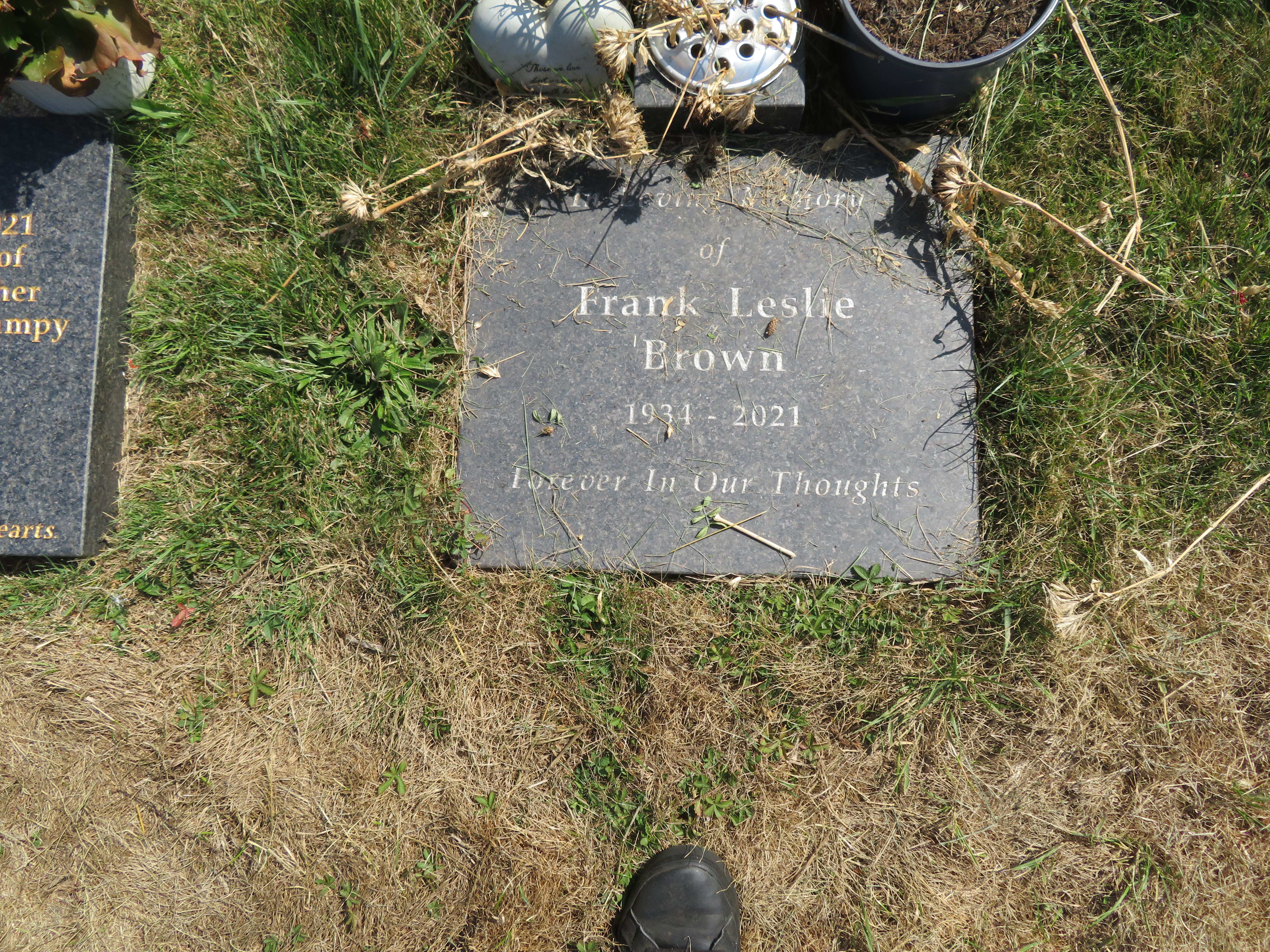 MSN-N.CX.1.22 1 Brown