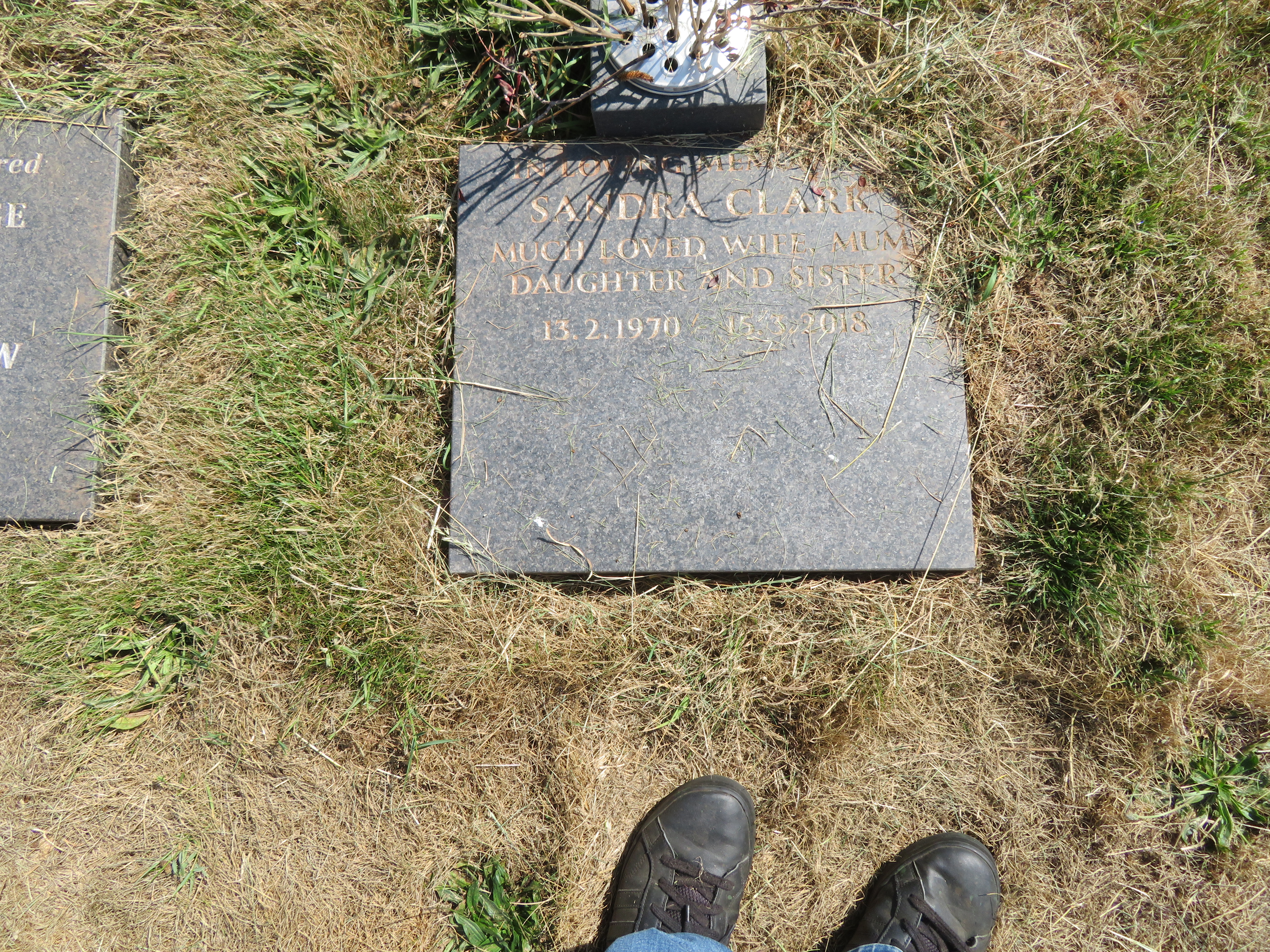 MSN-N.CX.1.28 1 Clark