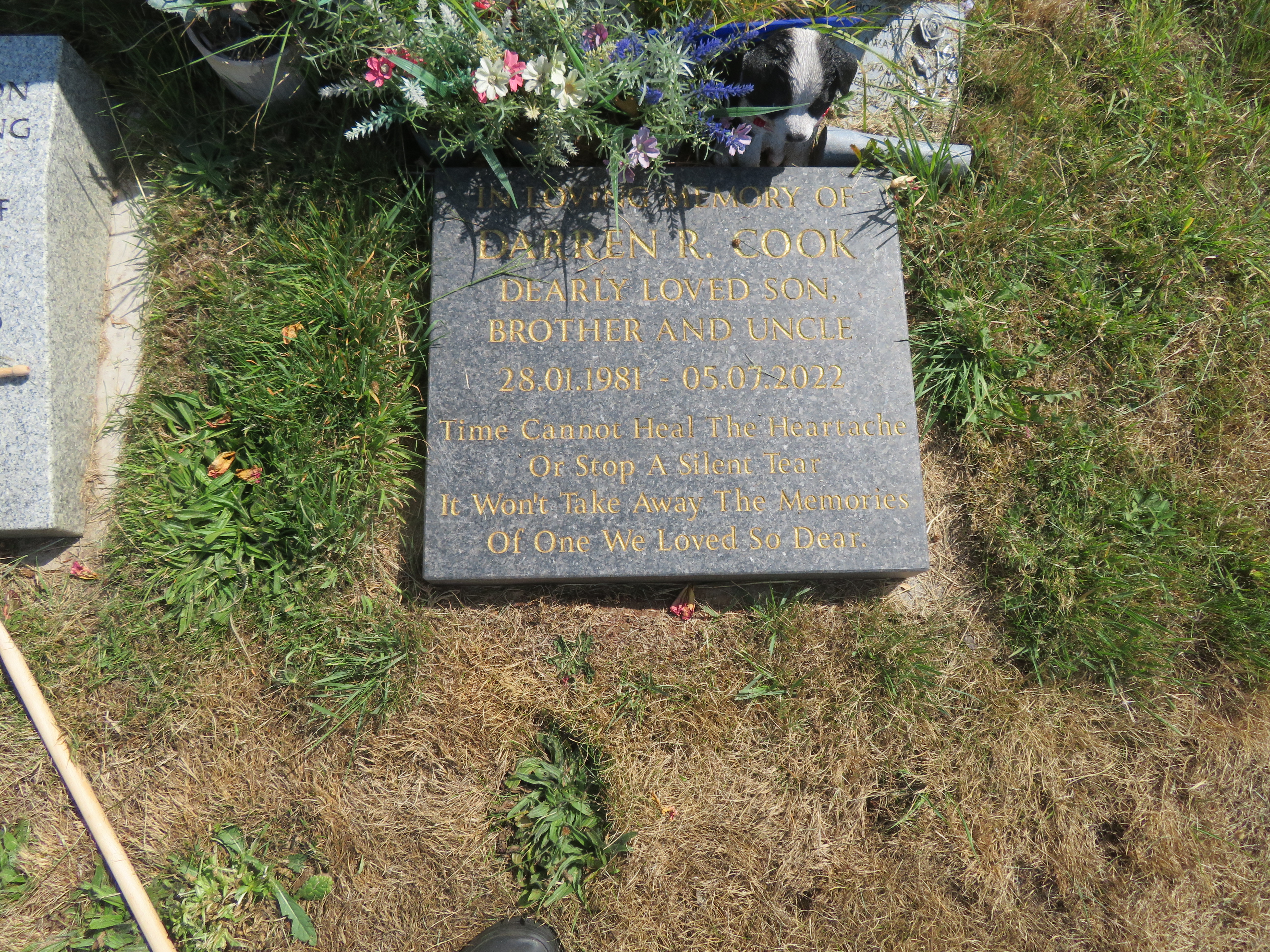 MSN-N.CX.1.38 1 Cook