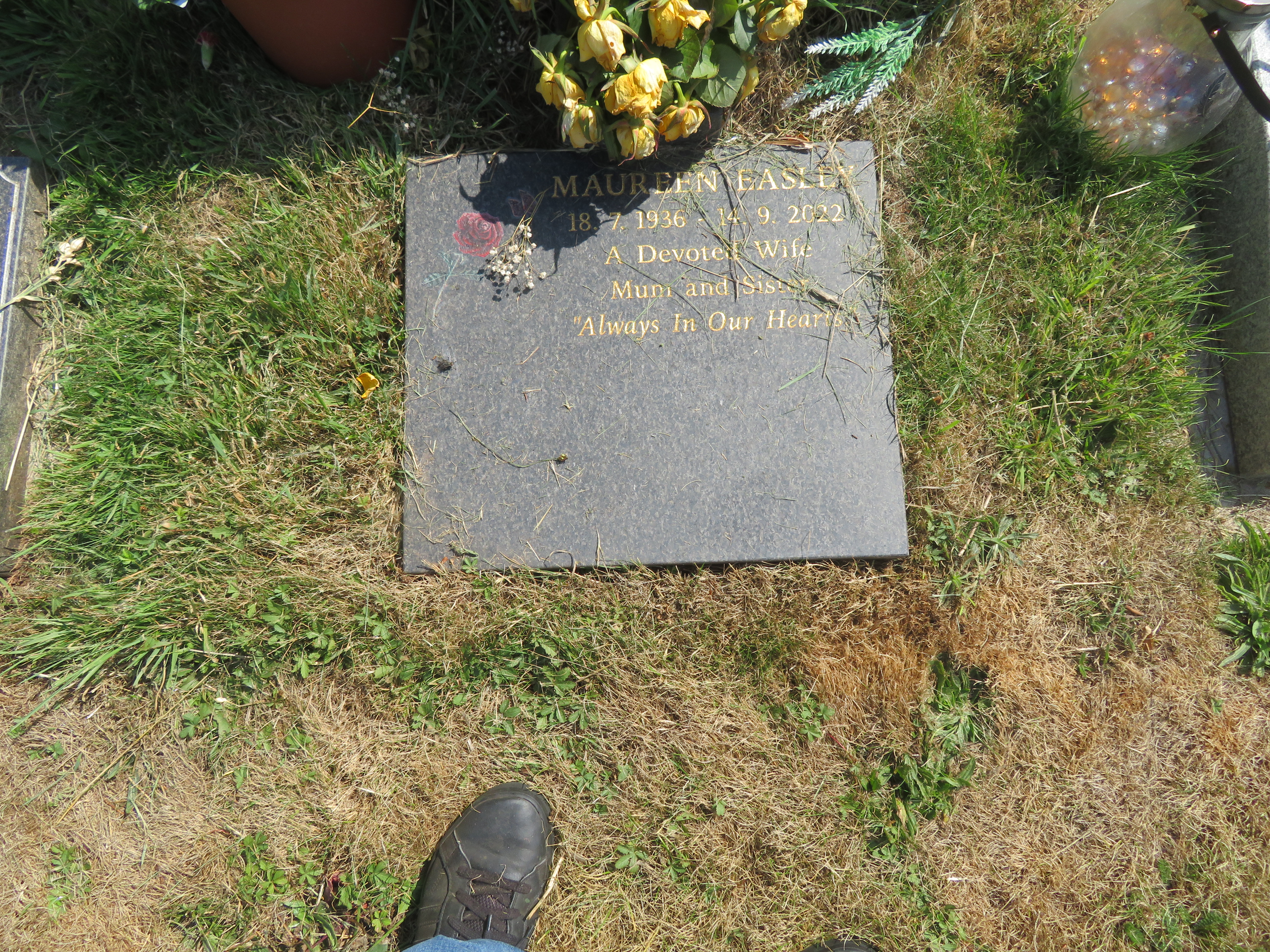 MSN-N.CX.1.40 1 Easley