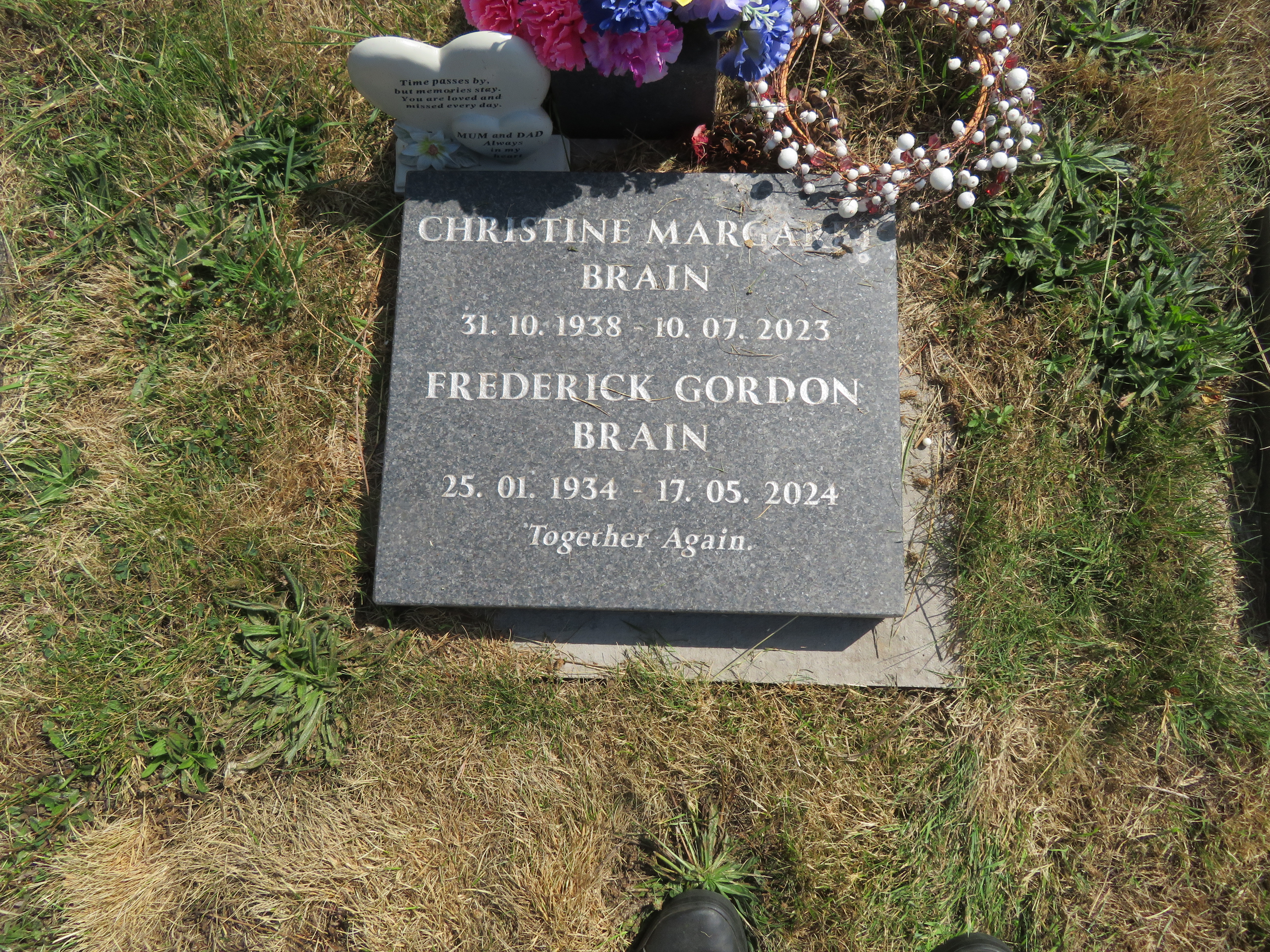 MSN-N.CX.1.44 1 Brain