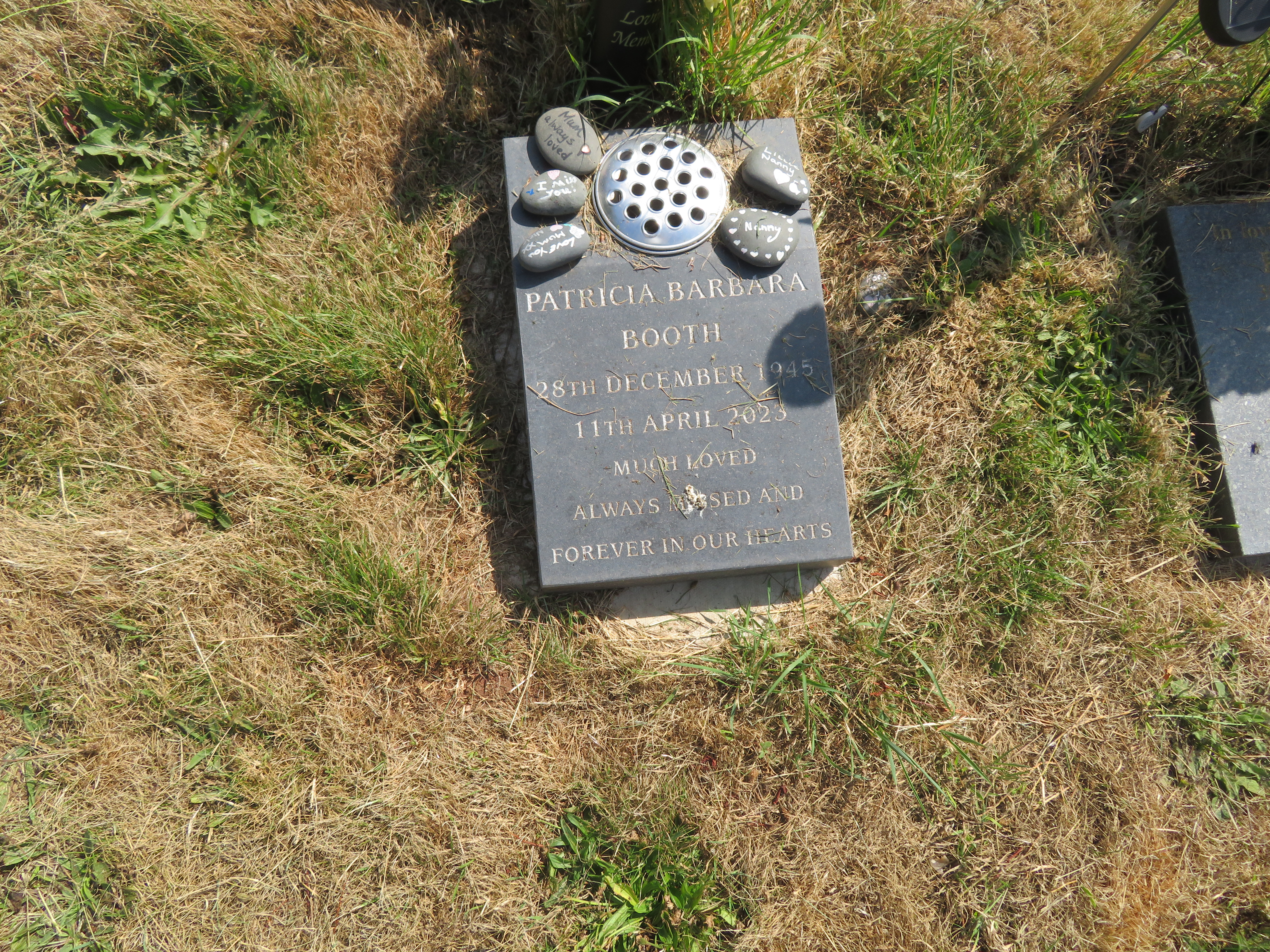 MSN-N.CX.1.48 1 Booth