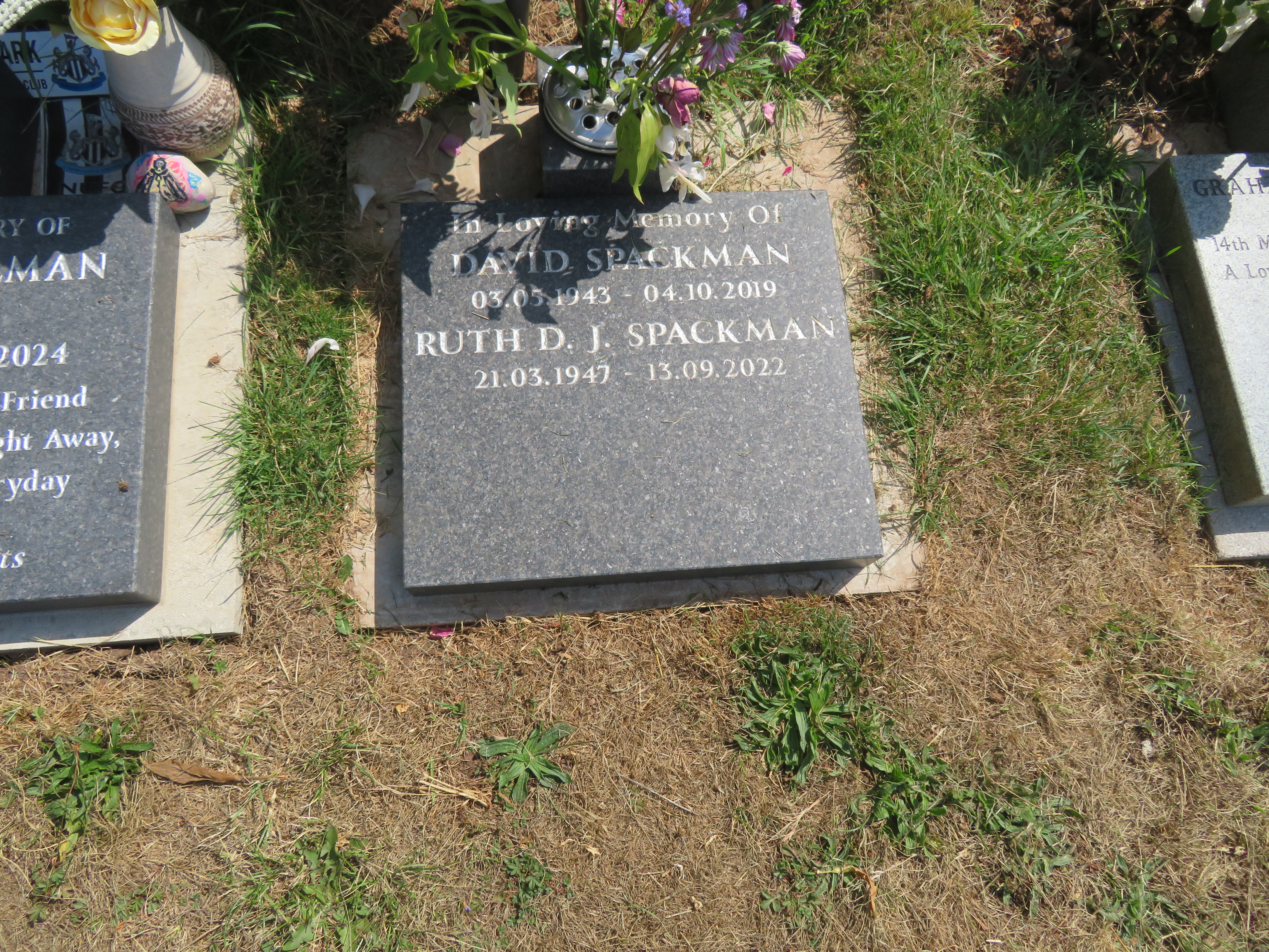 MSN-N.CX.1.53 1 Spackman