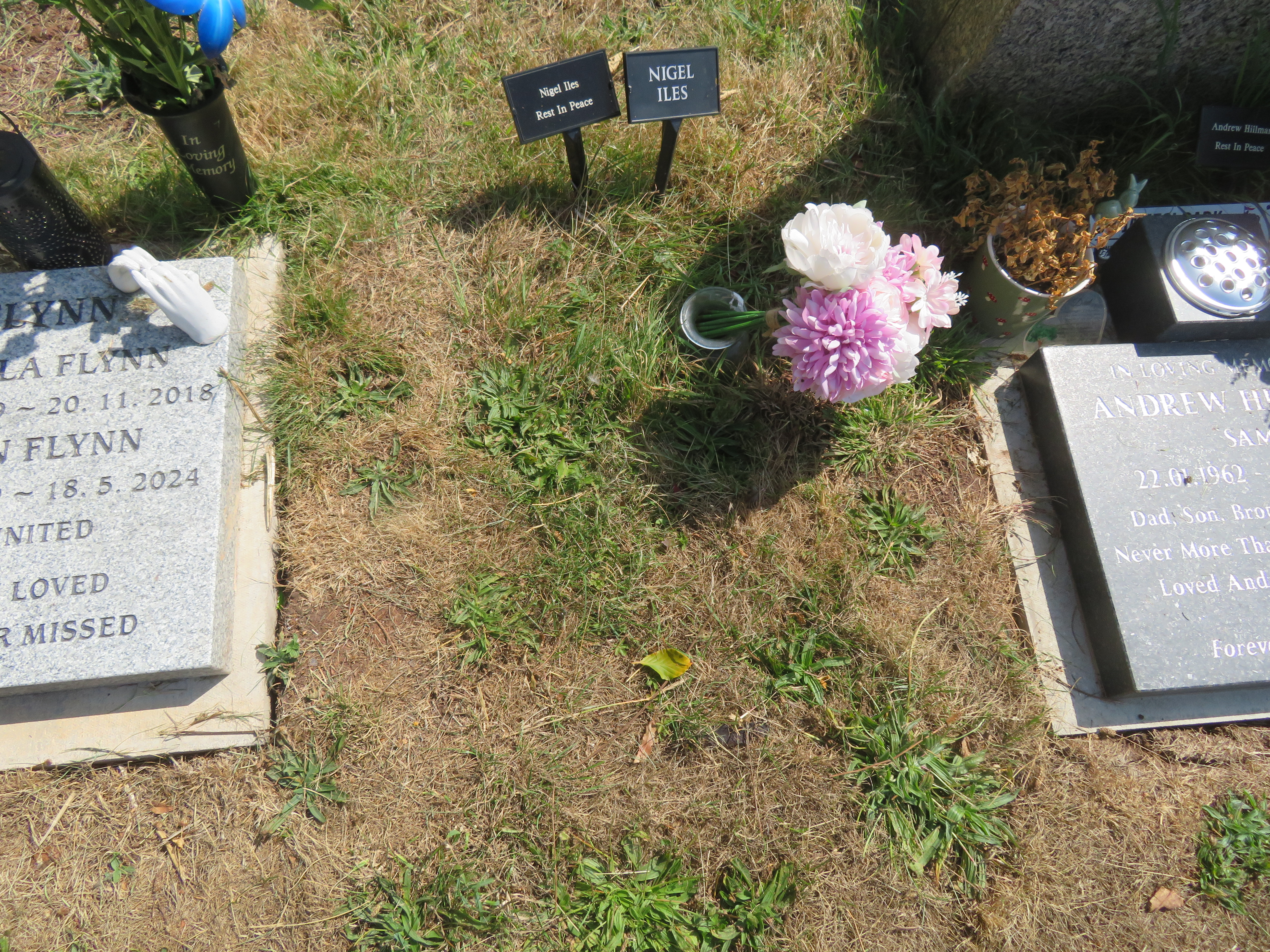 MSN-N.CX.1.55 1 Iles