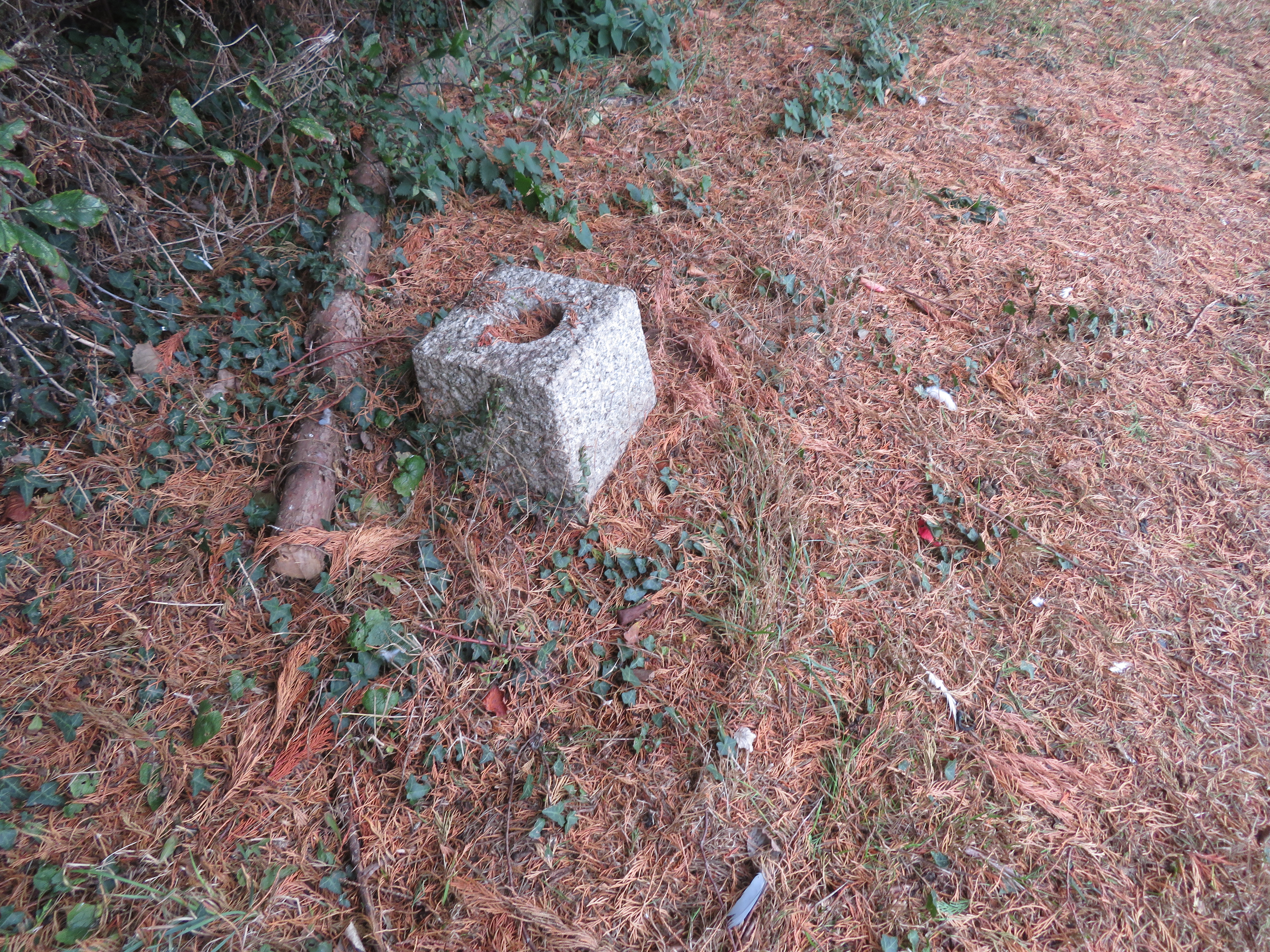 MSN-N.D.02 1 Gulliford