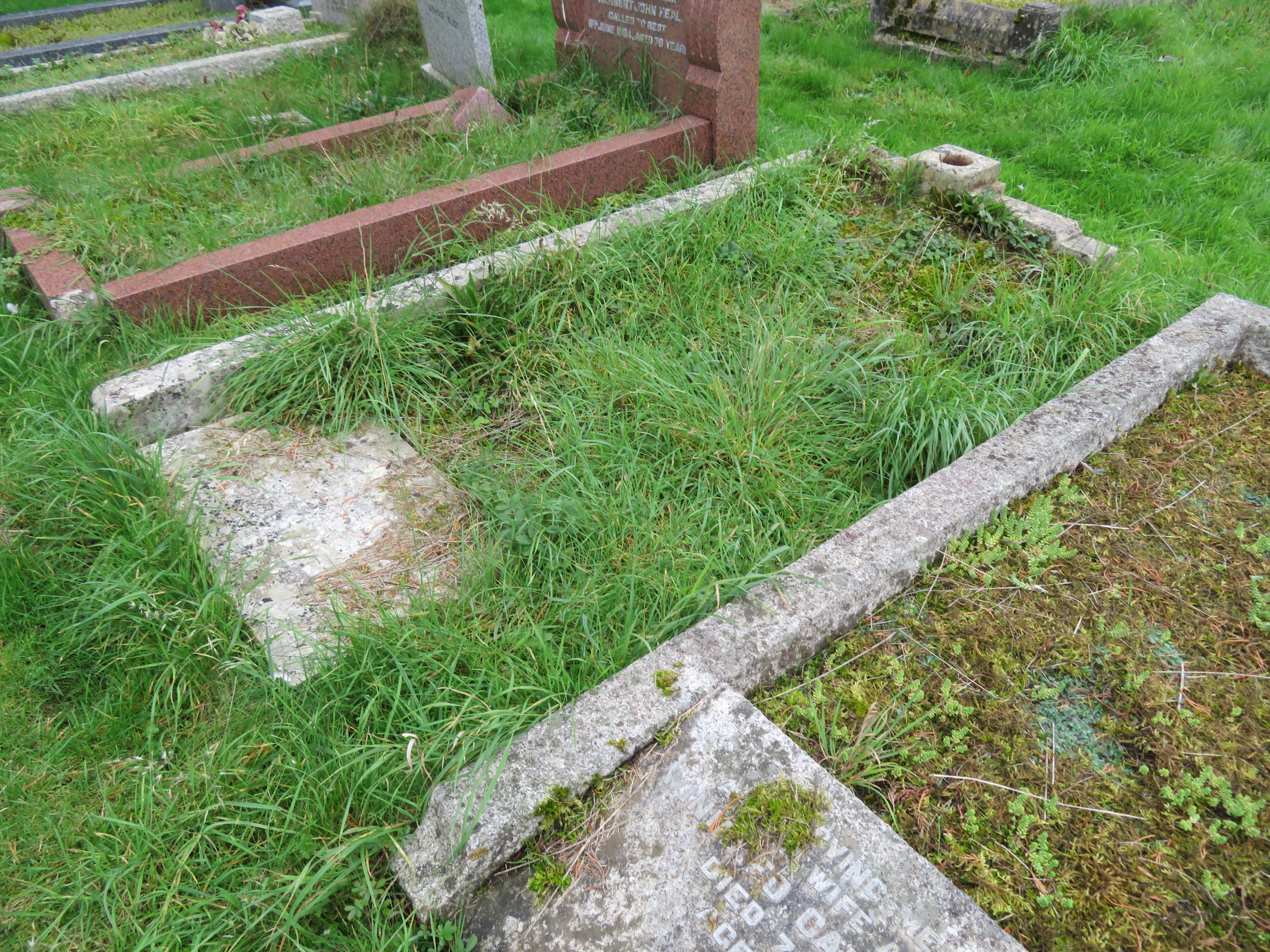 MSN-N.D.10 1 Whittock