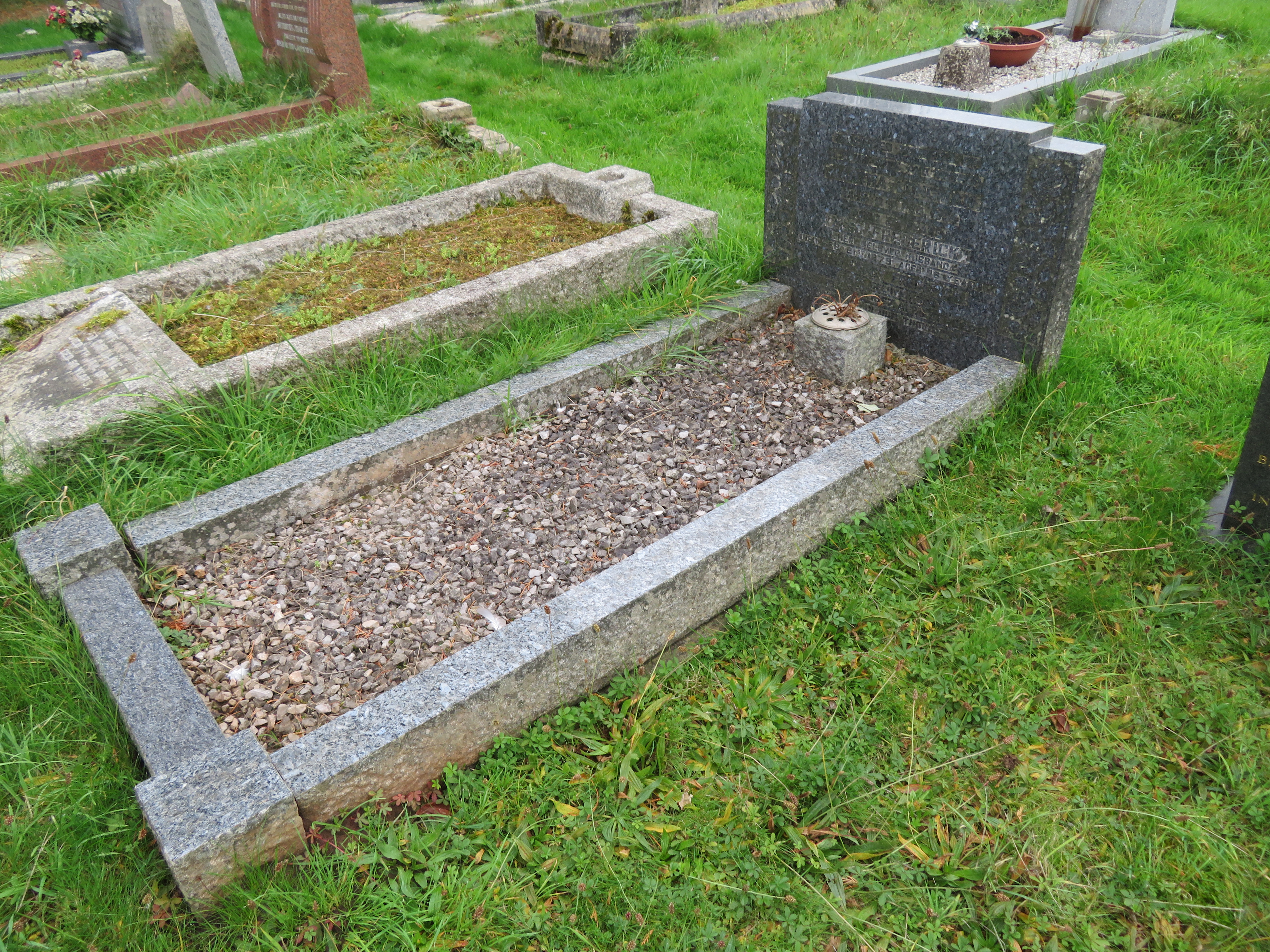 MSN-N.D.12 1 Longman