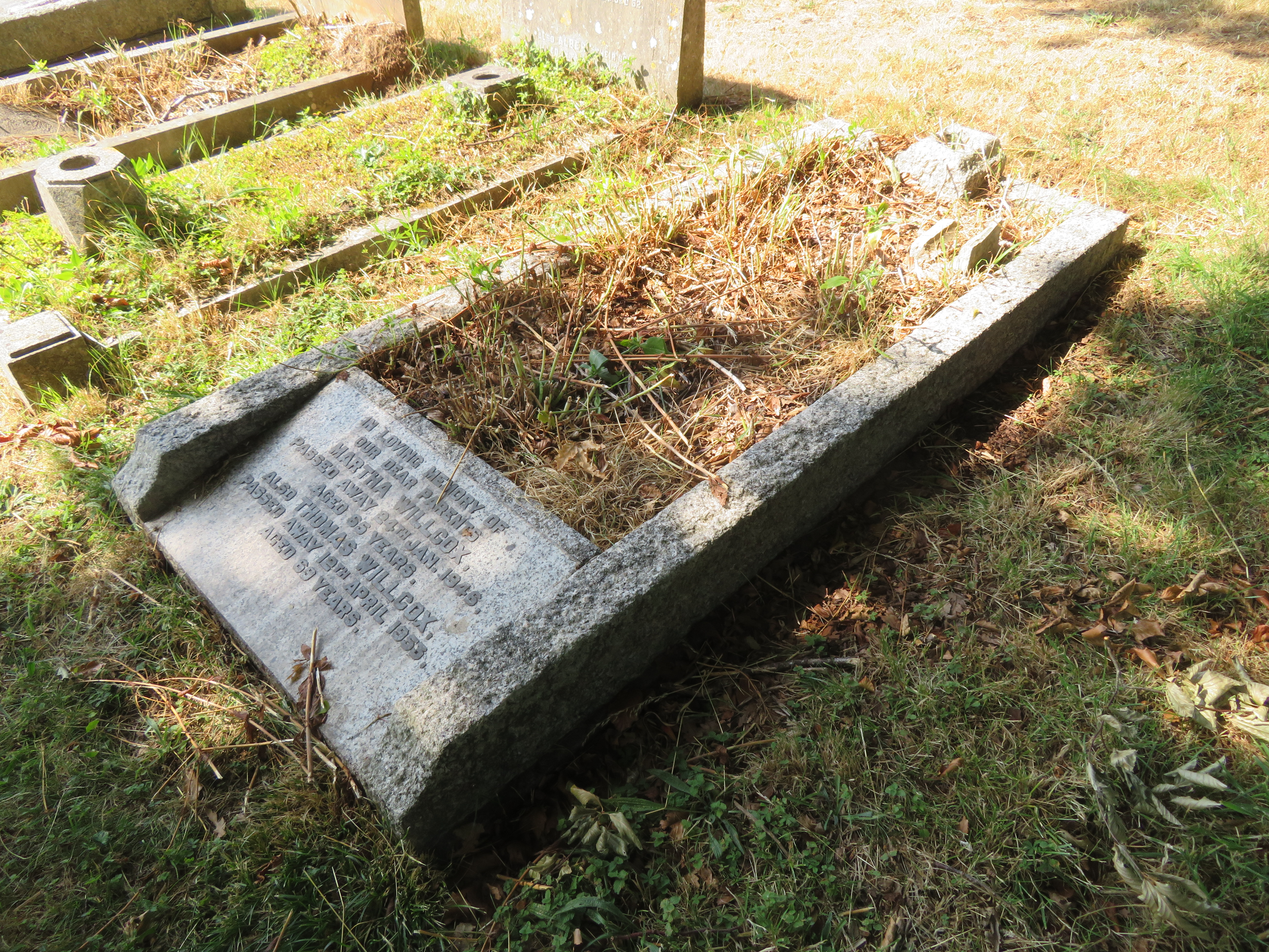 MSN-N.DD.02 1 Willcox