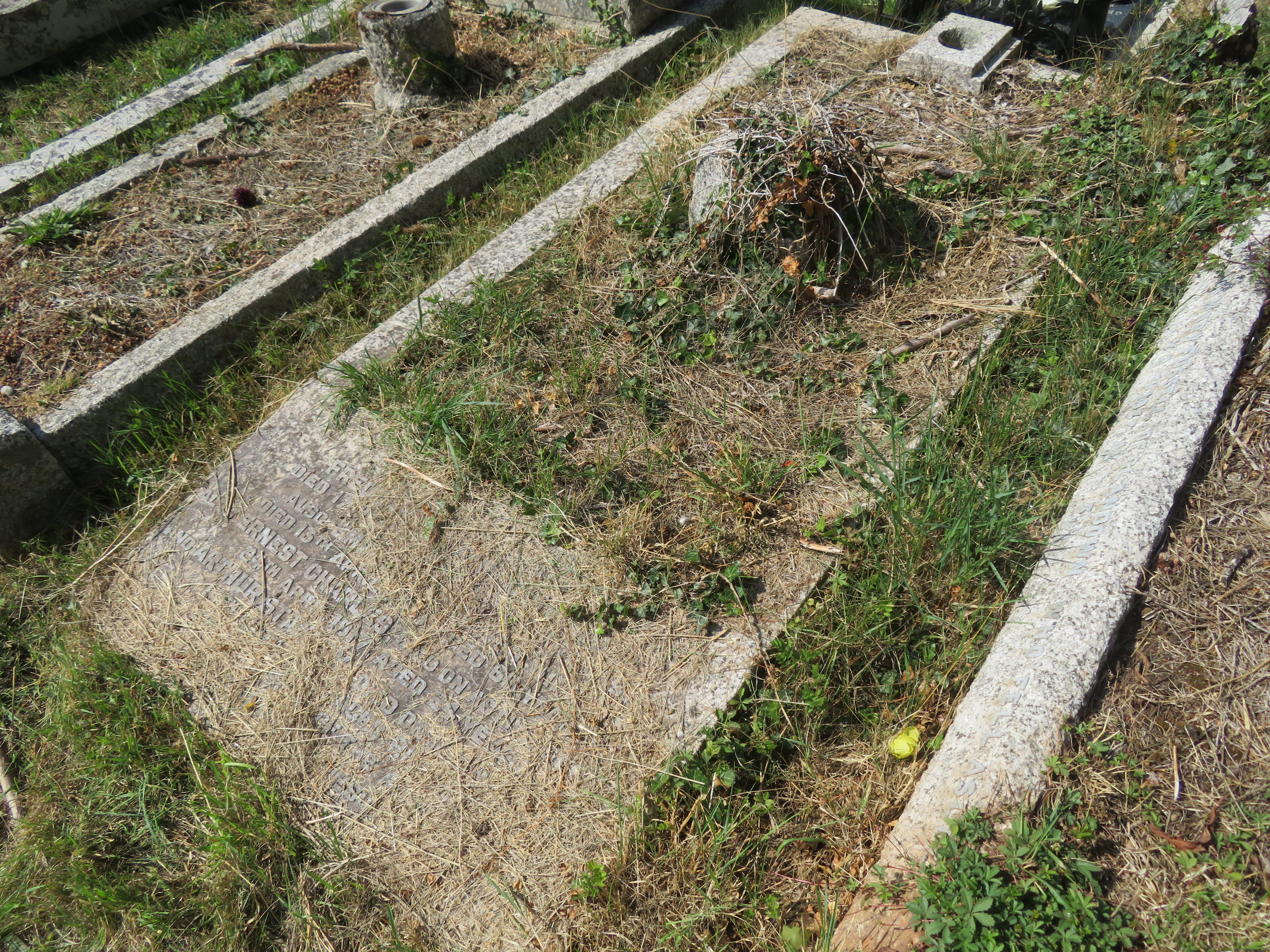 MSN-N.DD.13 1 Chivers