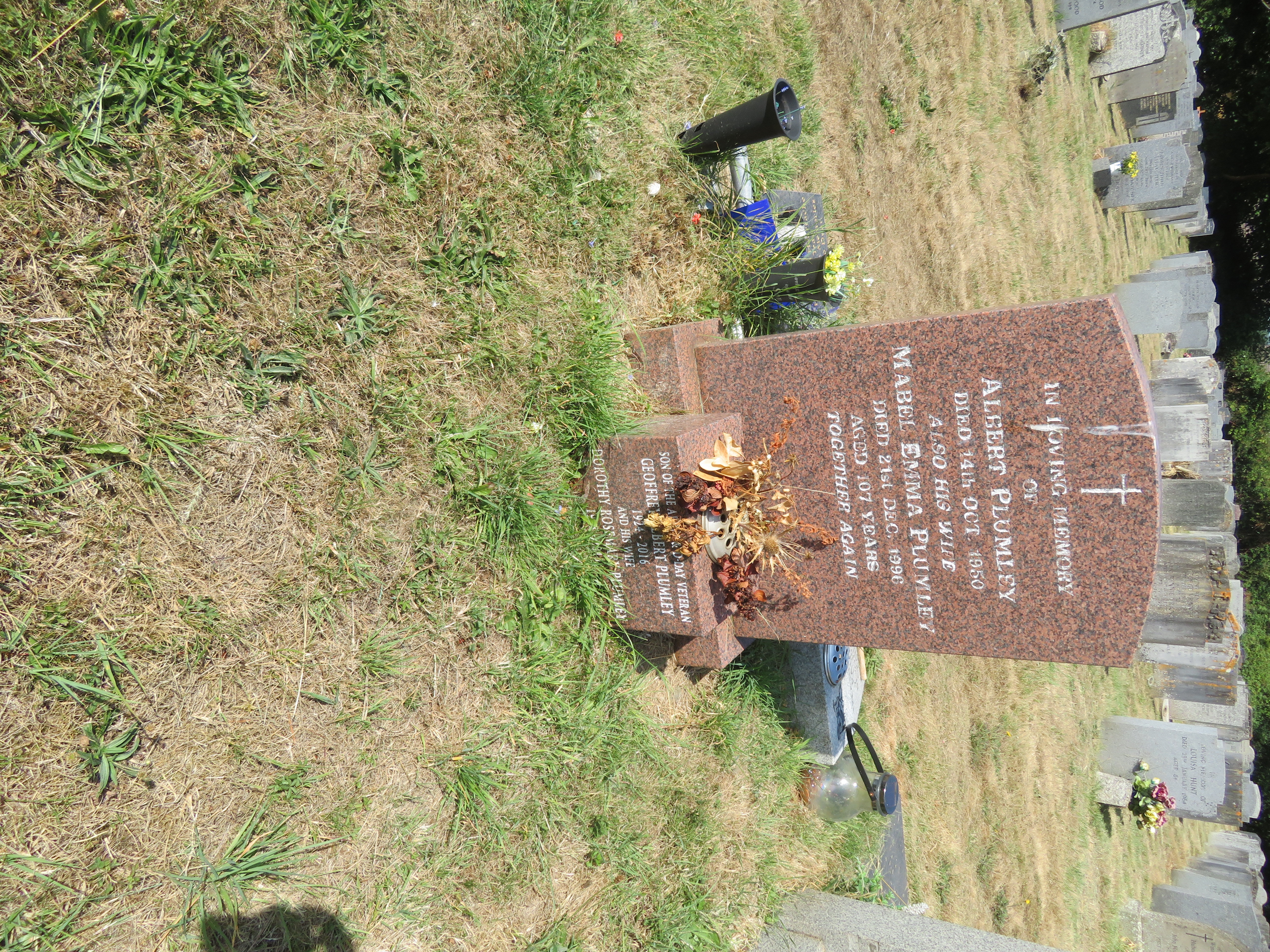 MSN-N.DD.22 1 Plumley