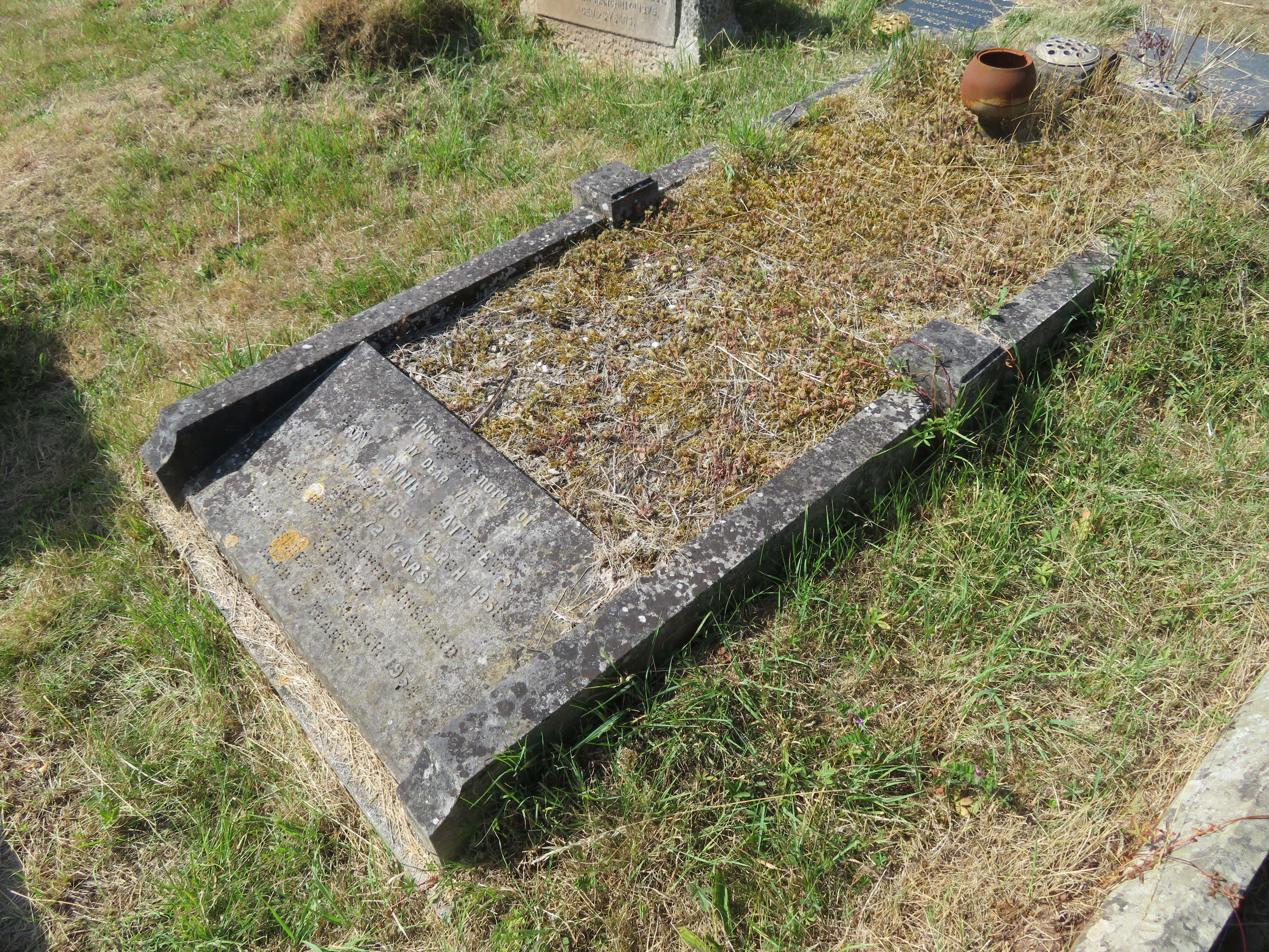 MSN-N.DD.29 1 Matthews