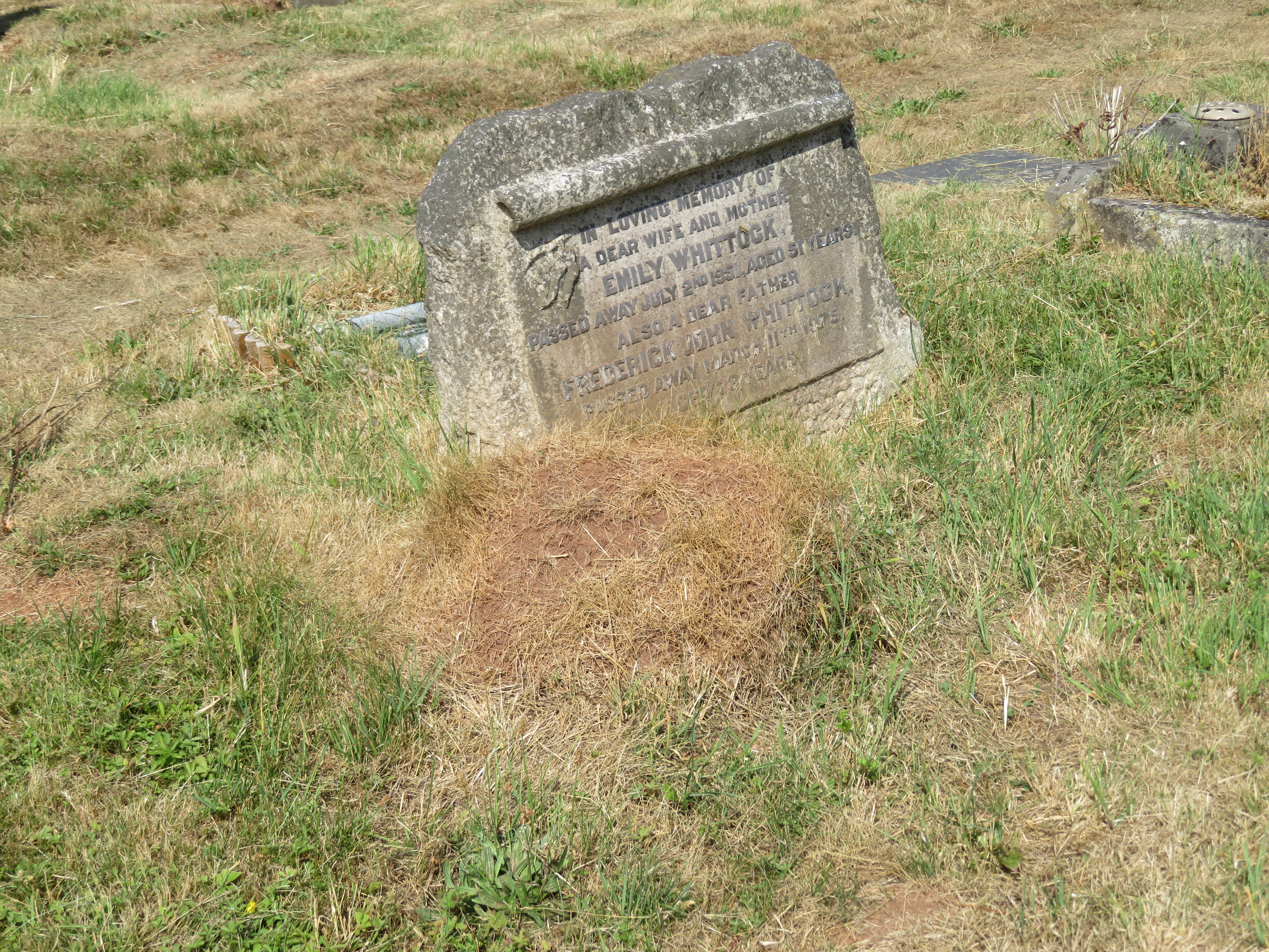 MSN-N.DD.30 1 Whittock