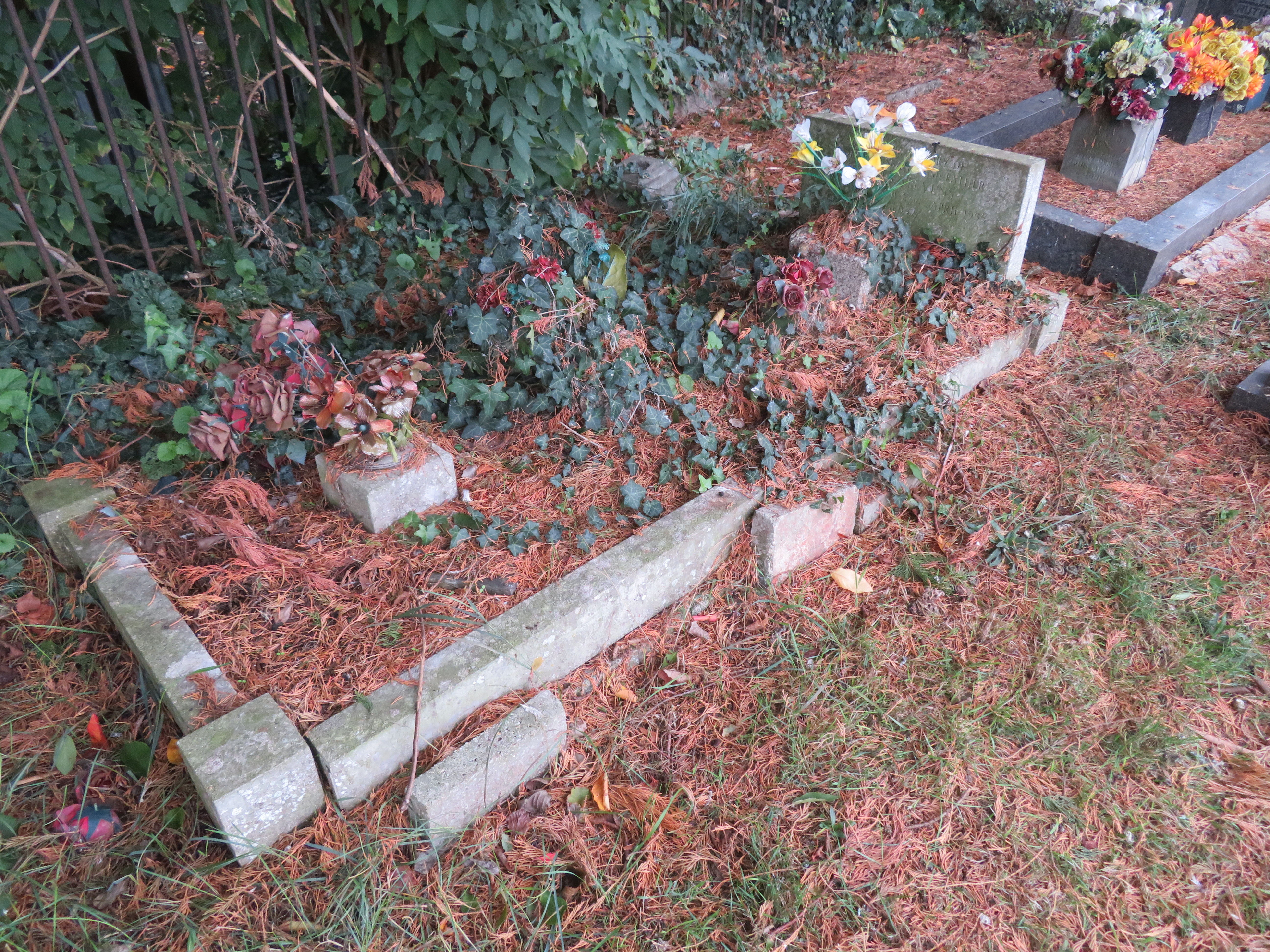 MSN-N.E.01 1 Stevens