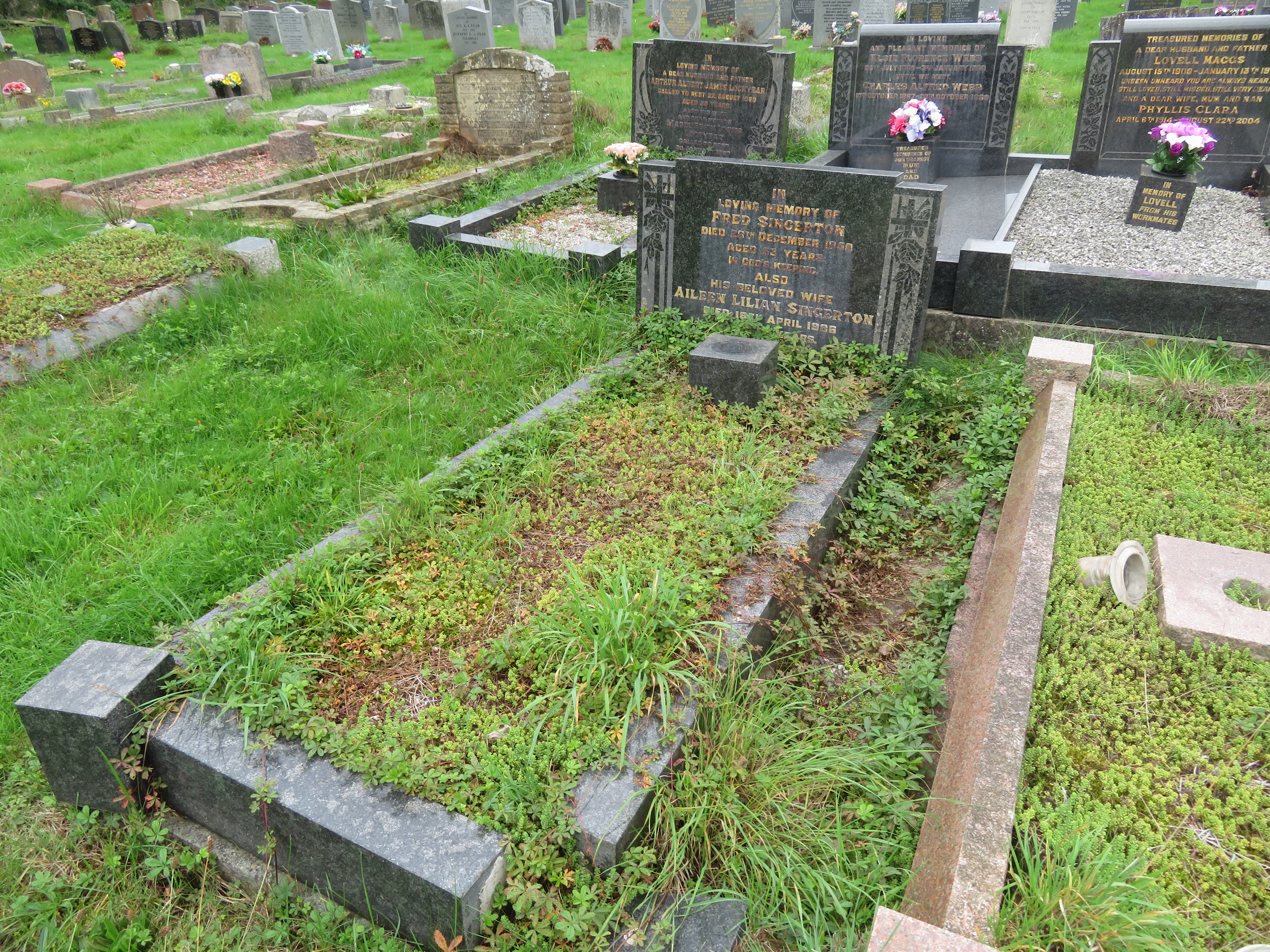 MSN-N.E.20 1 Singerton