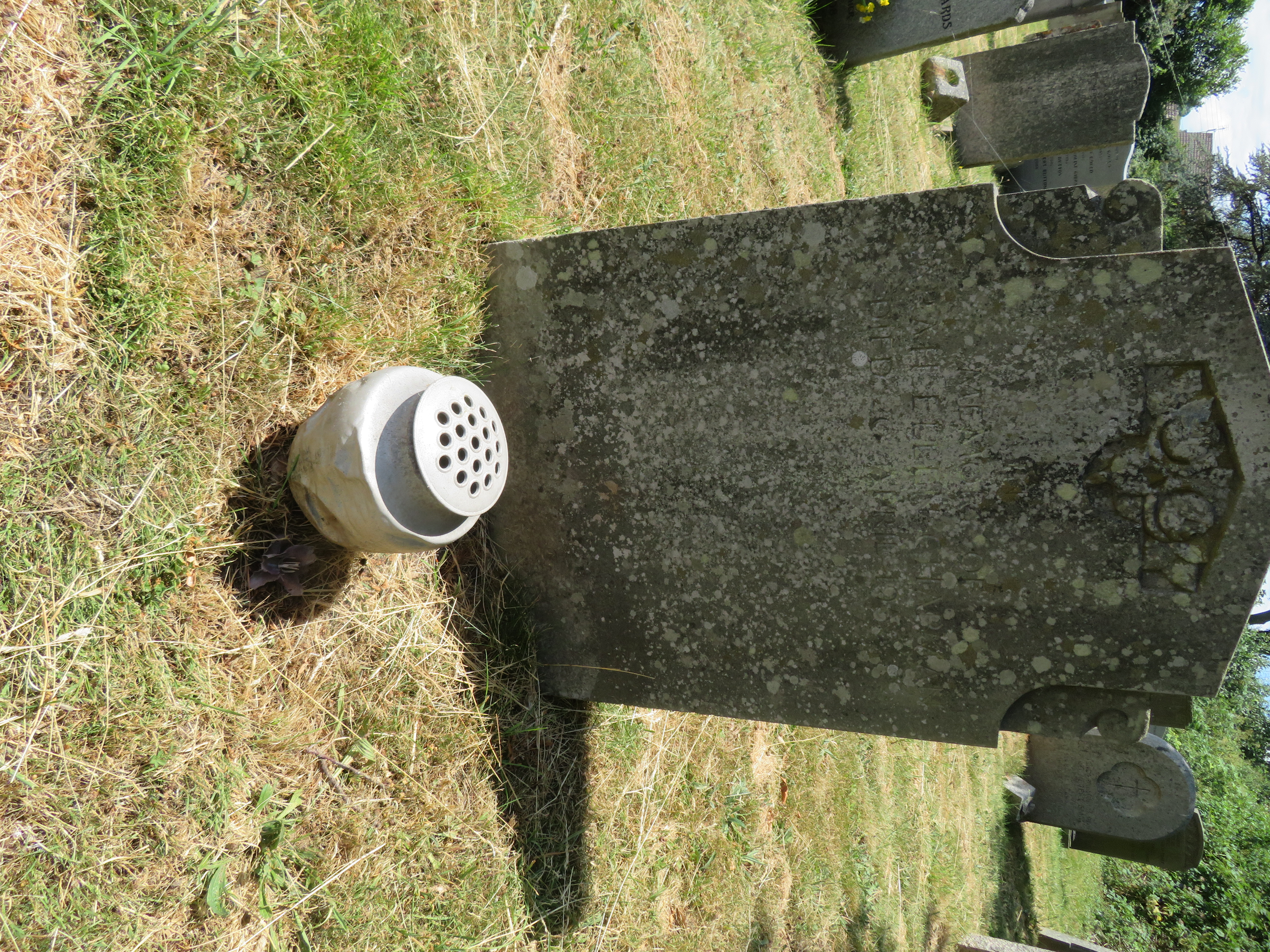 MSN-N.EE.04 1 Chapman