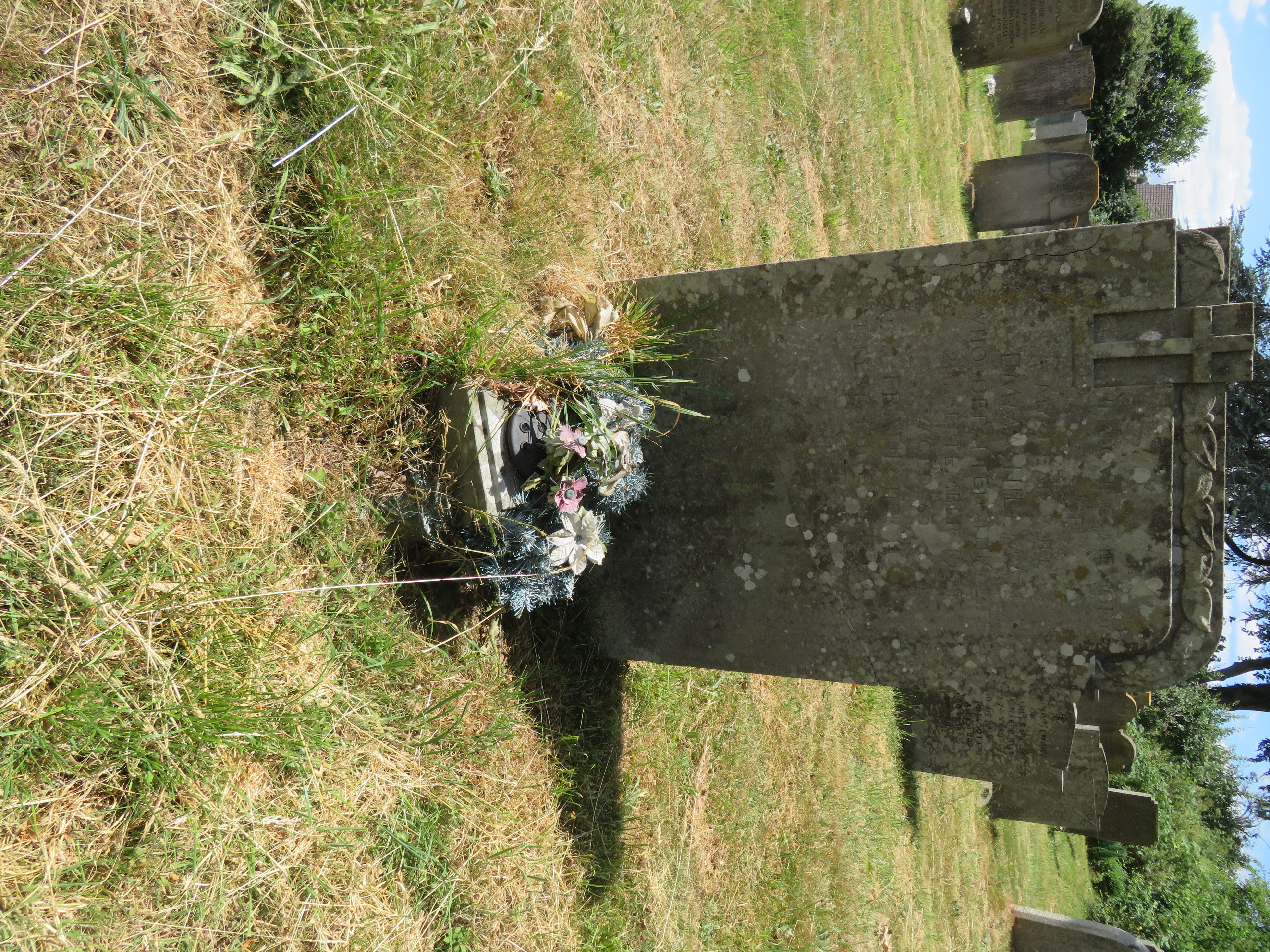 MSN-N.EE.05 1 Hillman