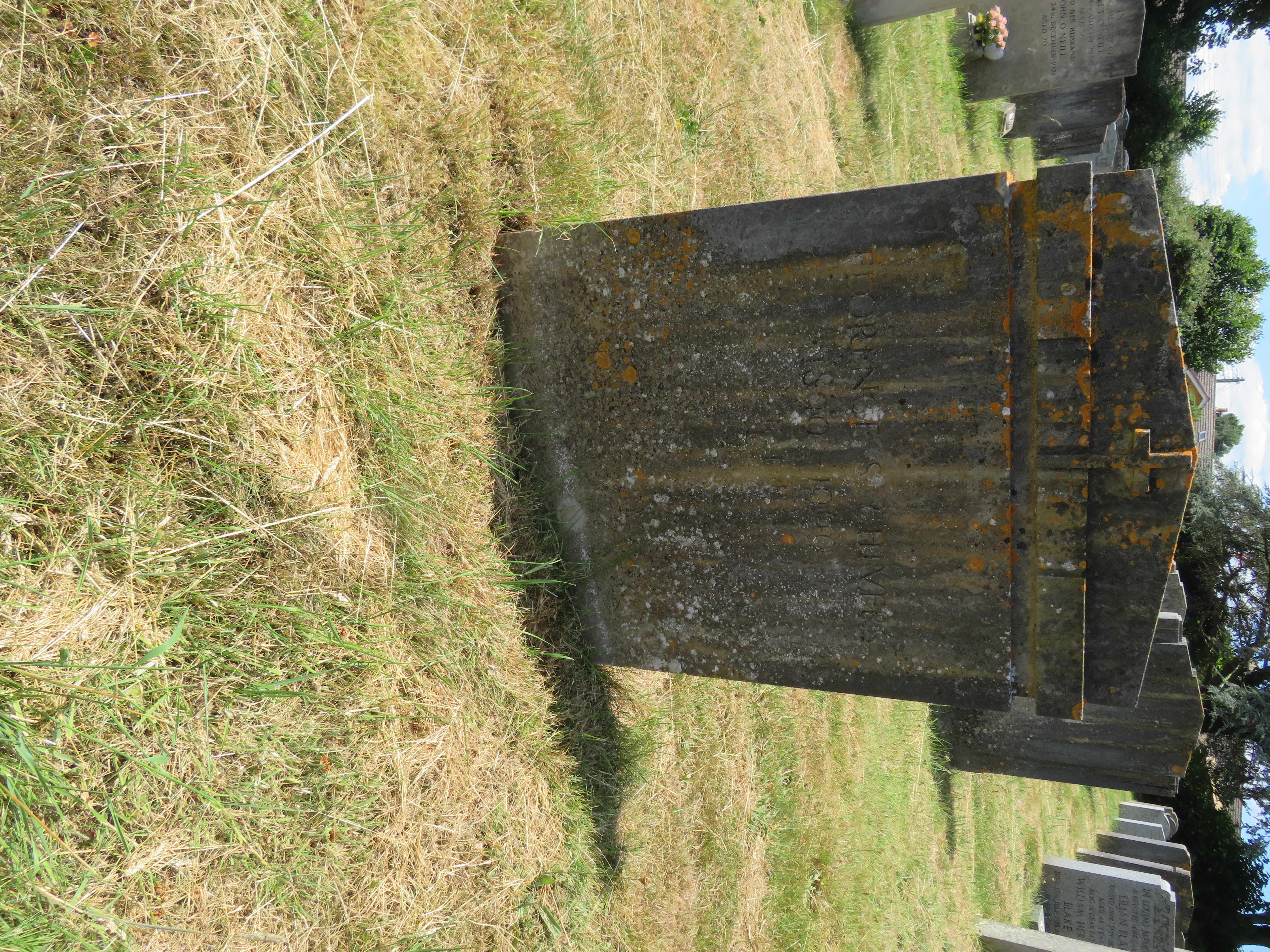 MSN-N.EE.13 1 Chivers