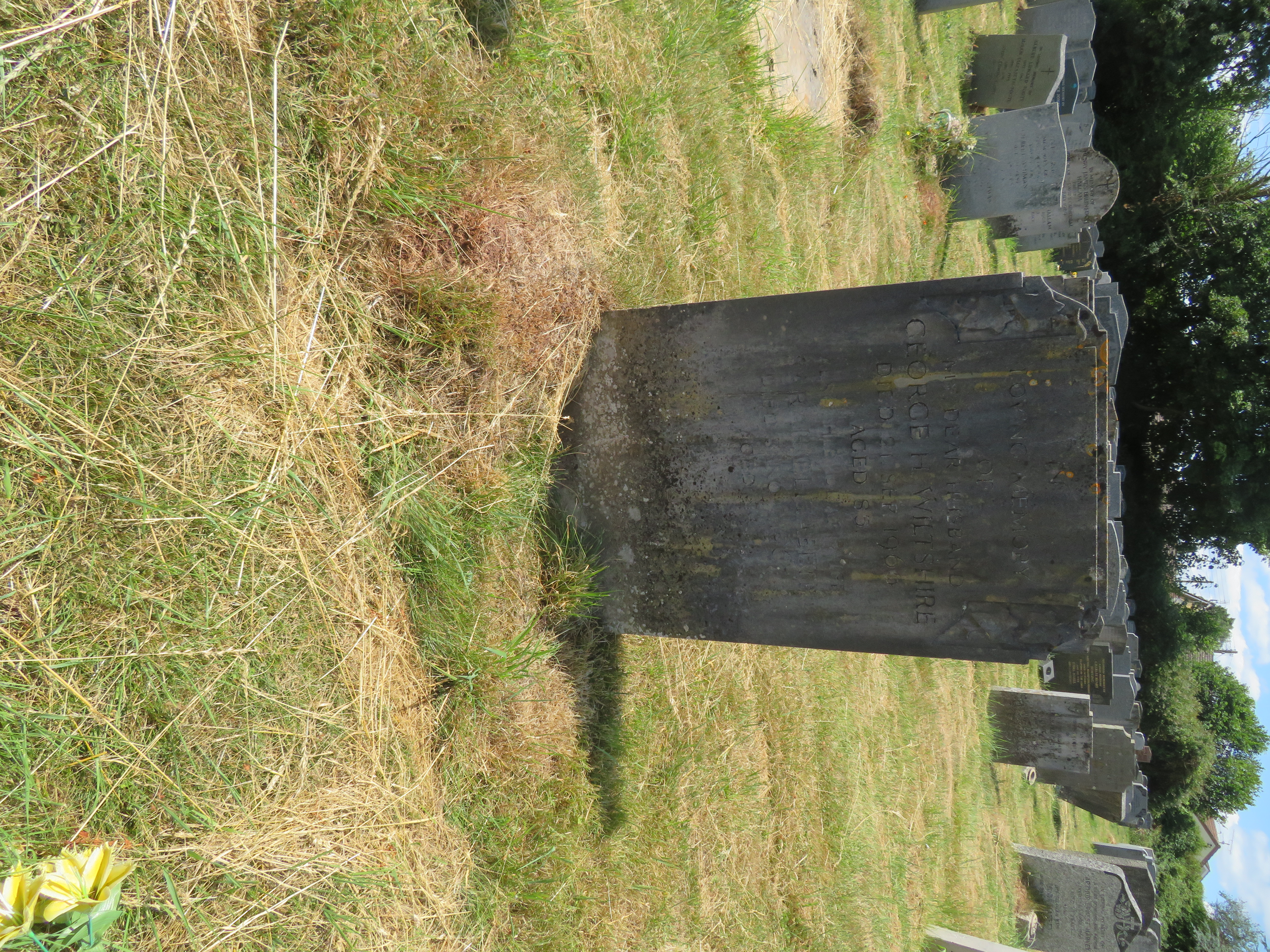 MSN-N.EE.25 1 Wiltshire