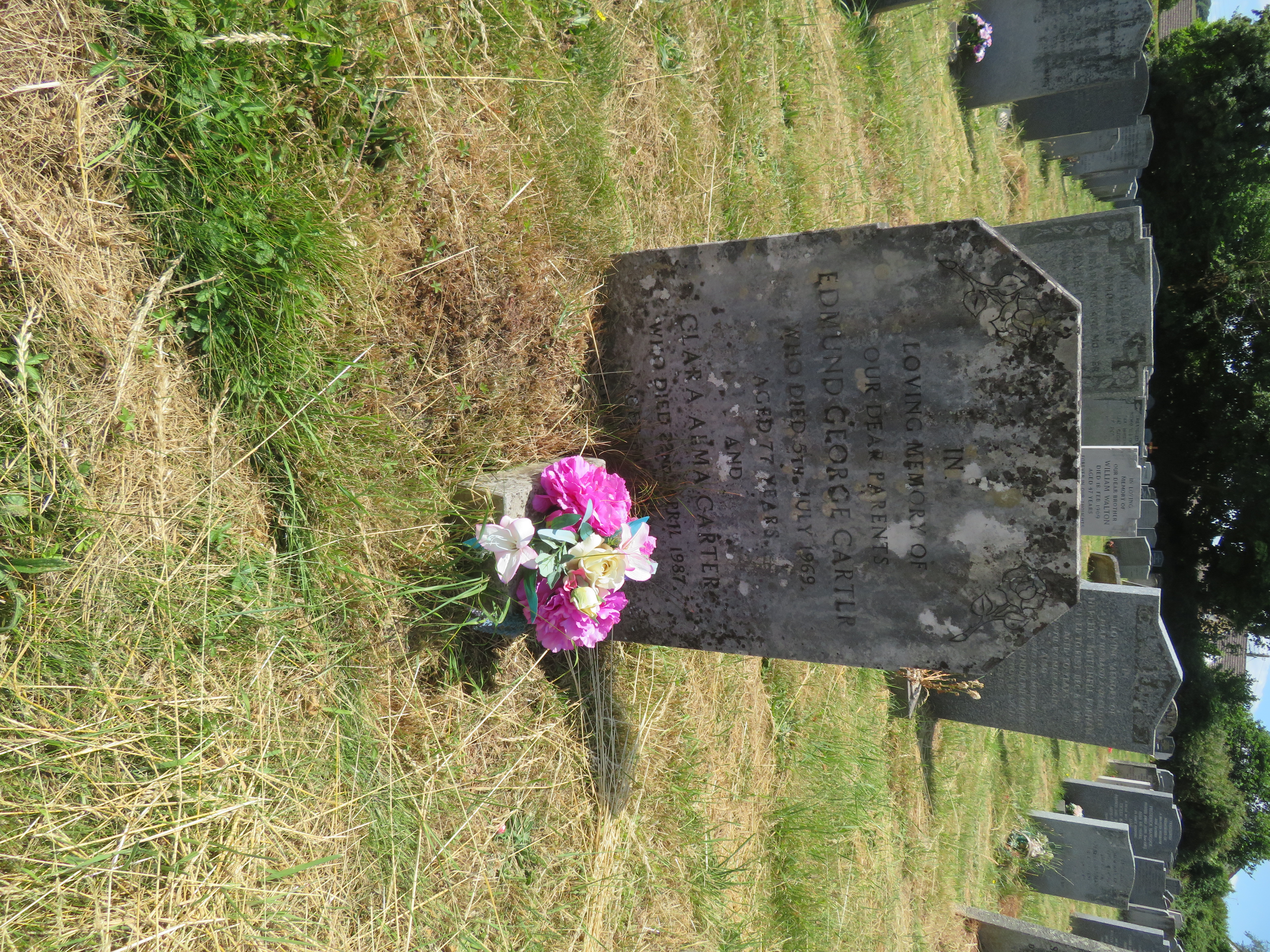 MSN-N.EE.29 1 Carter